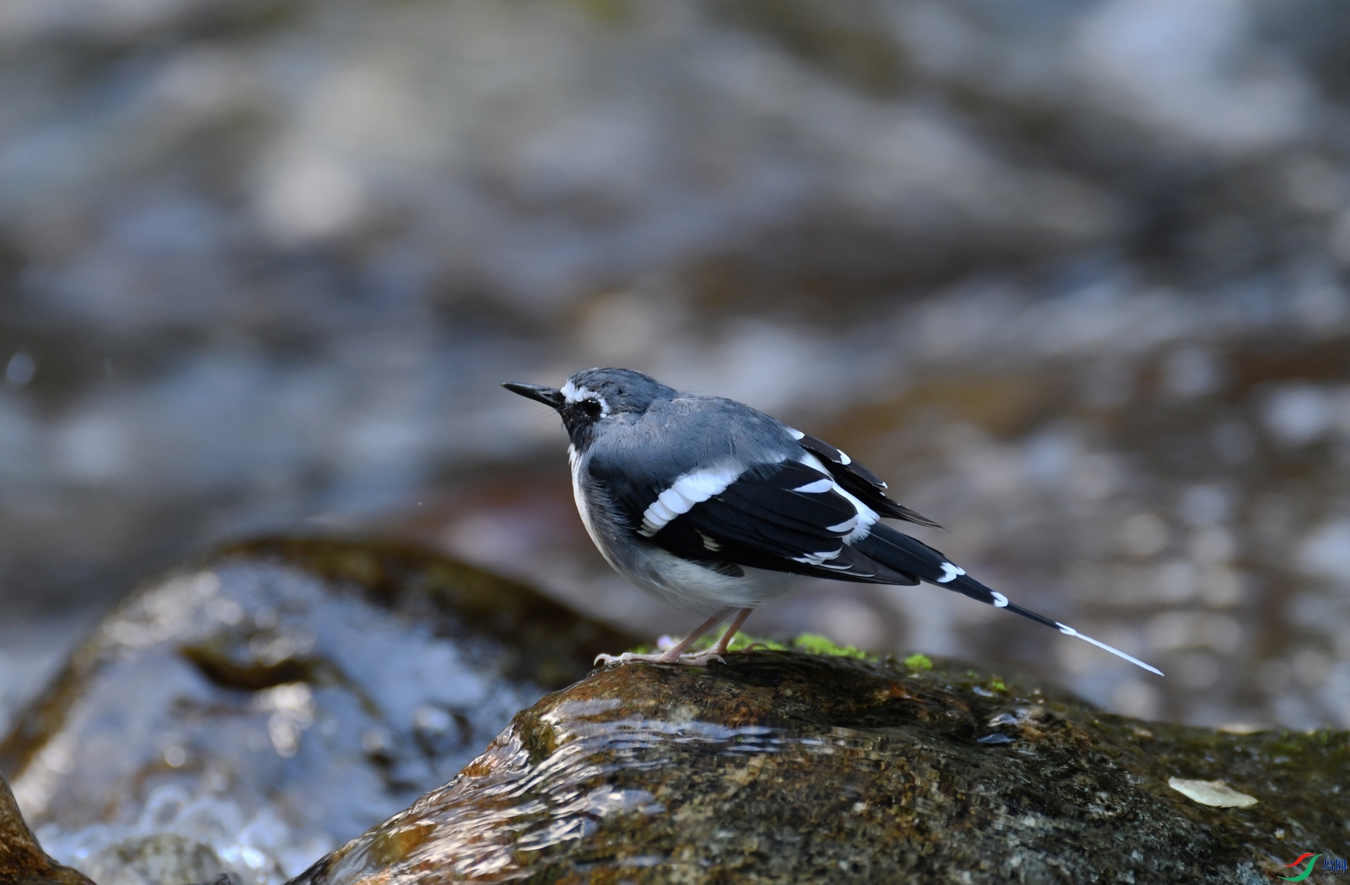 DSC_9602.jpg