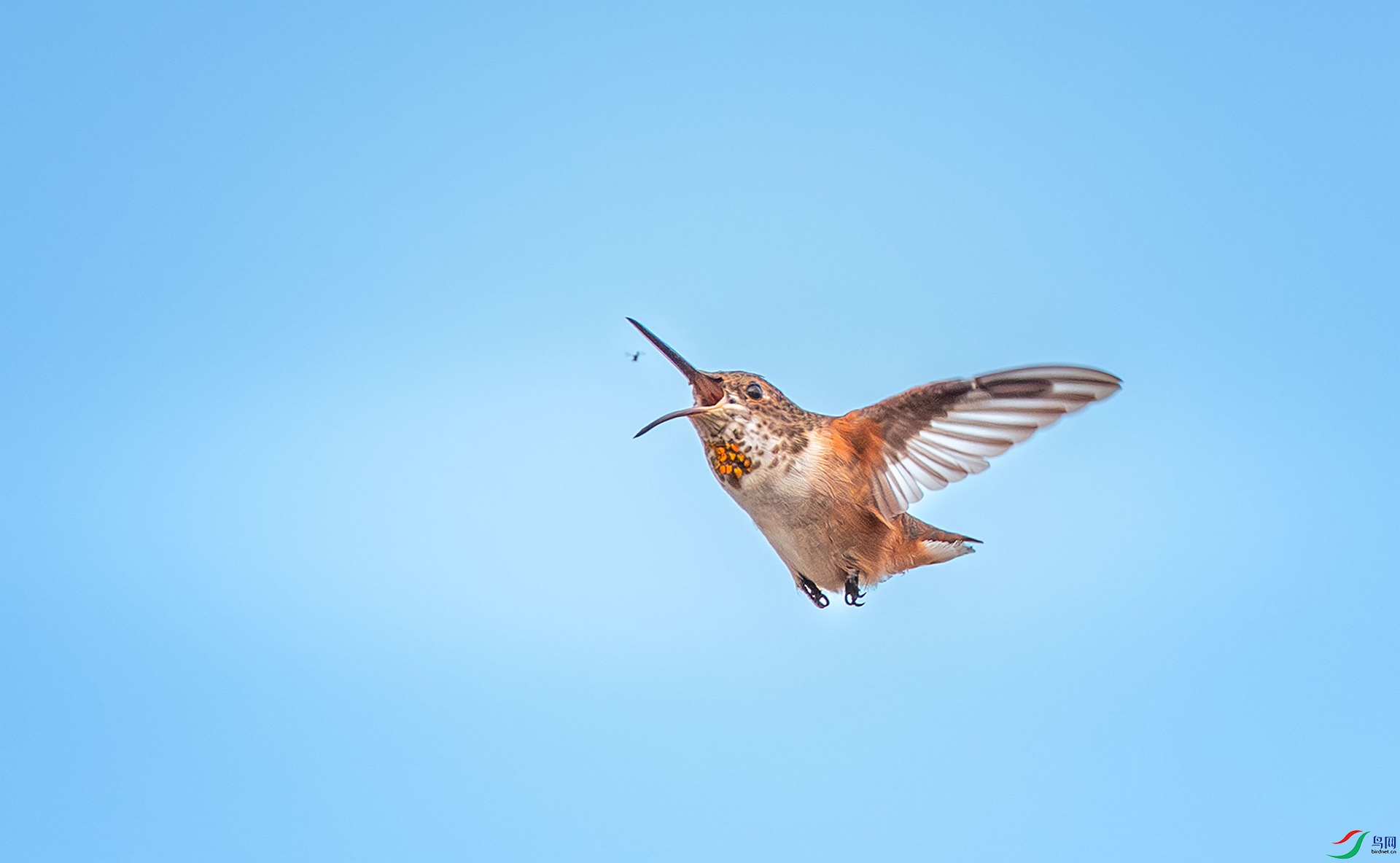 _DSC9358 ����.jpg