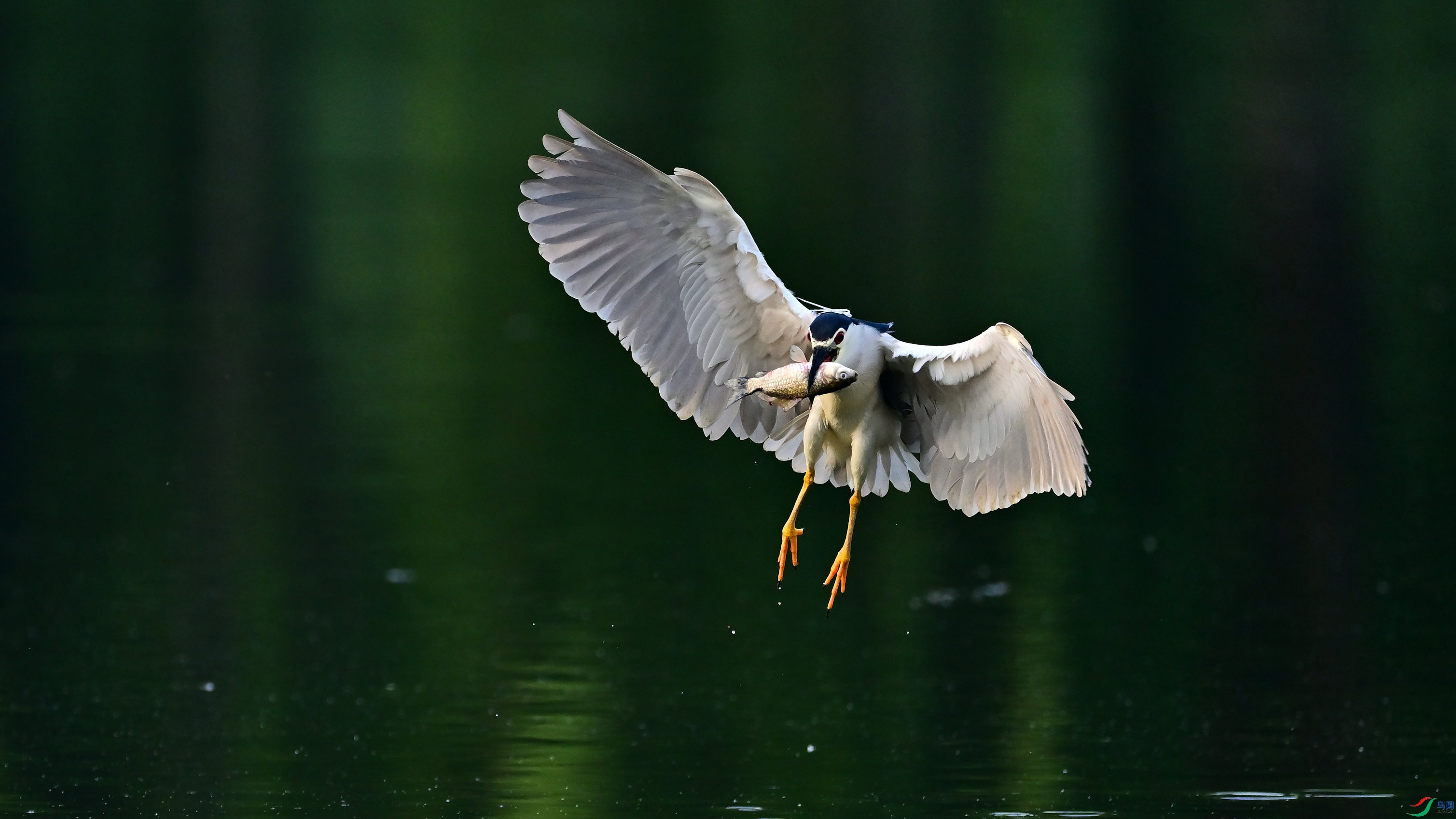 DSC_3161_03.jpg