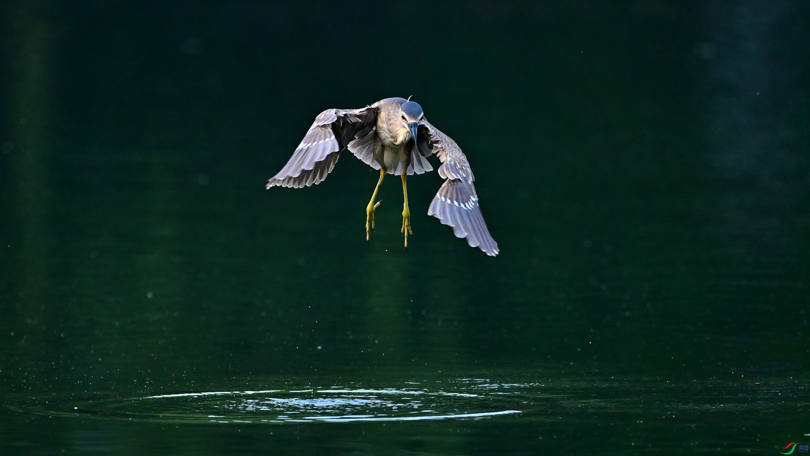DSC_3343_02.jpg