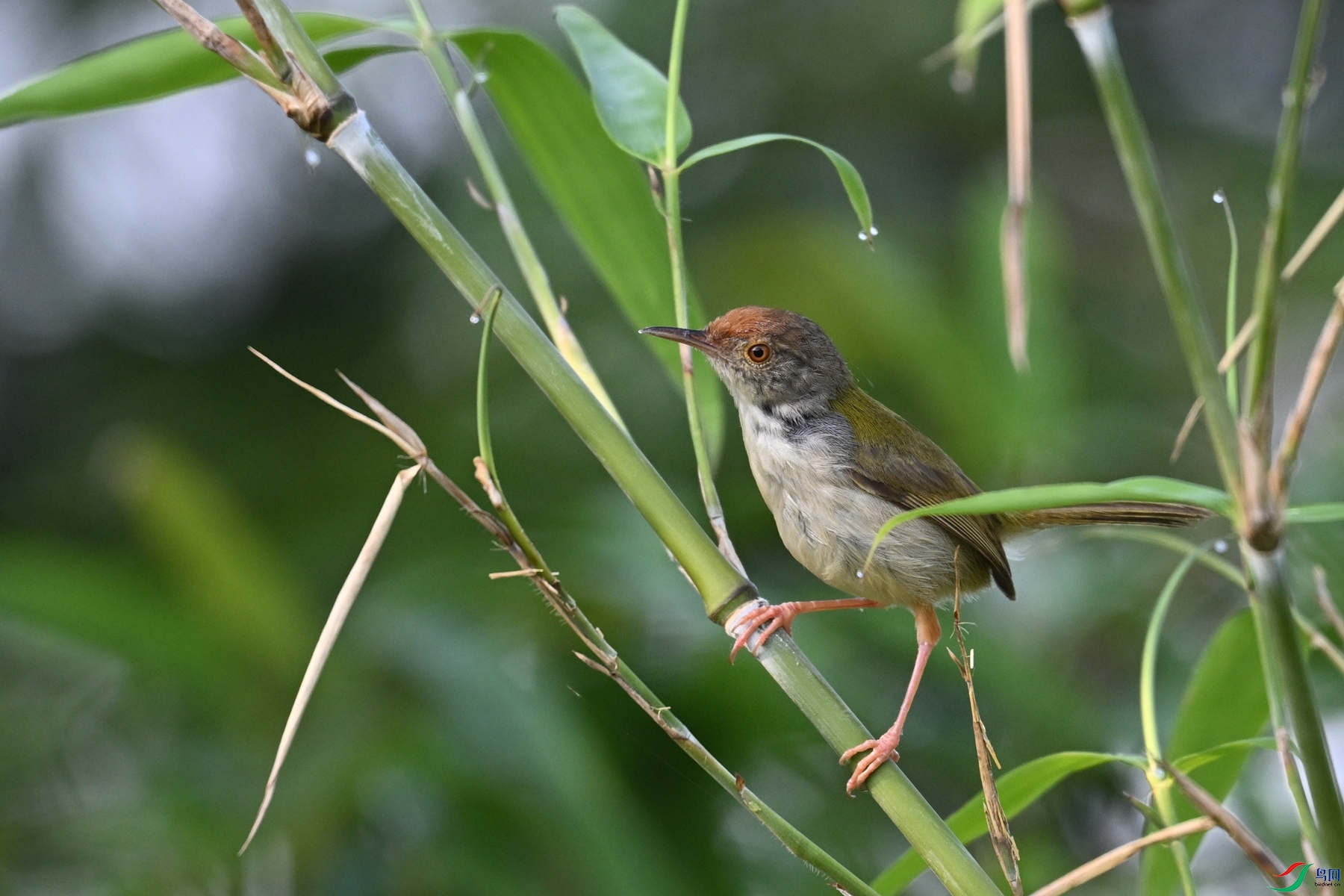 DSC_9067.JPG