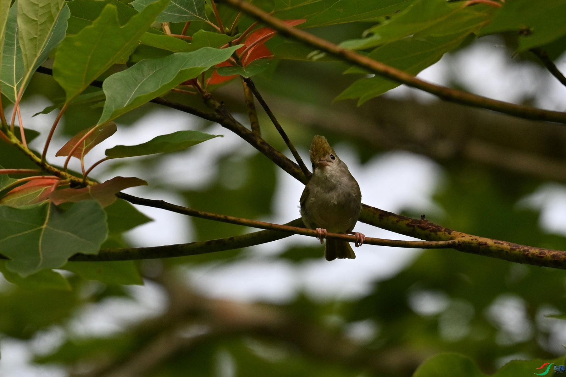 DSC_9113.JPG