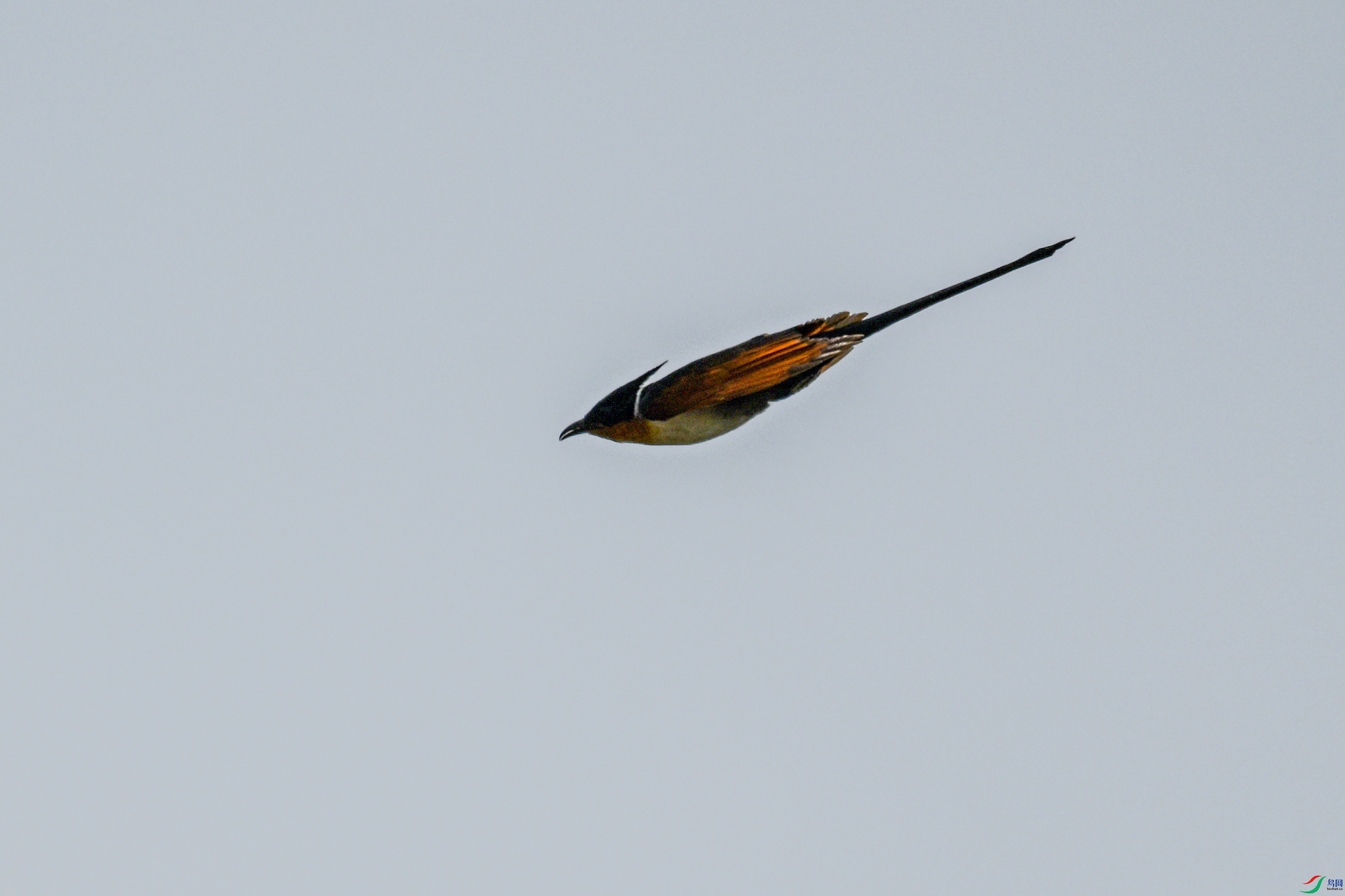 DSC_9167.JPG