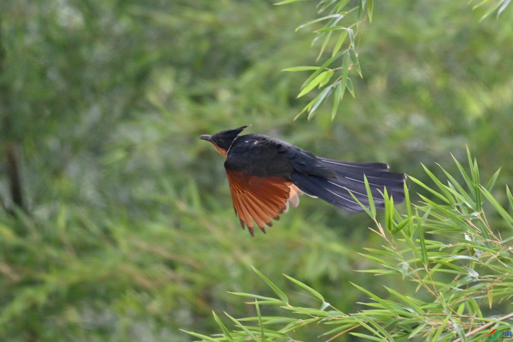 DSC_9206.JPG