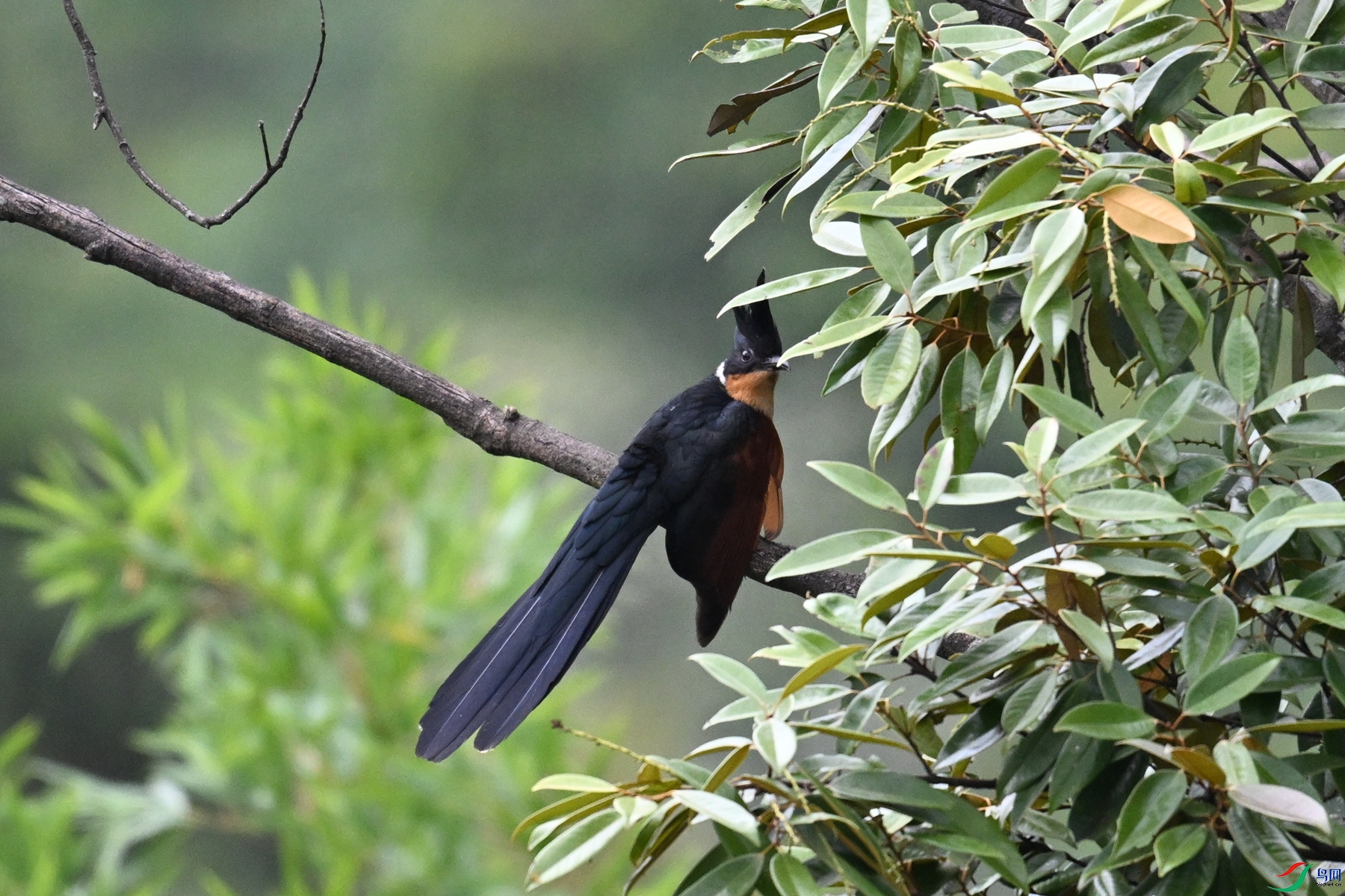 DSC_9220.JPG