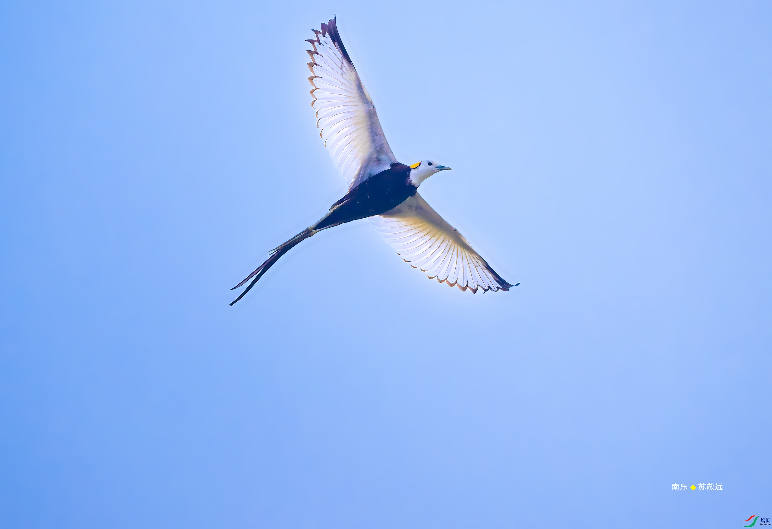 _DSC8107DxO_С.jpg