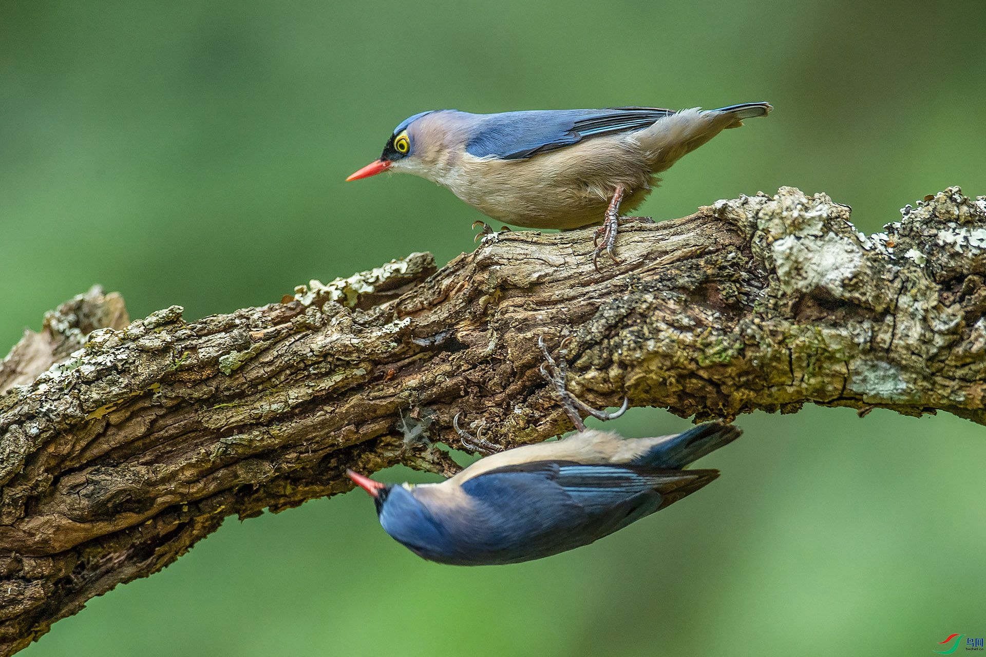 DSC_9107.jpg