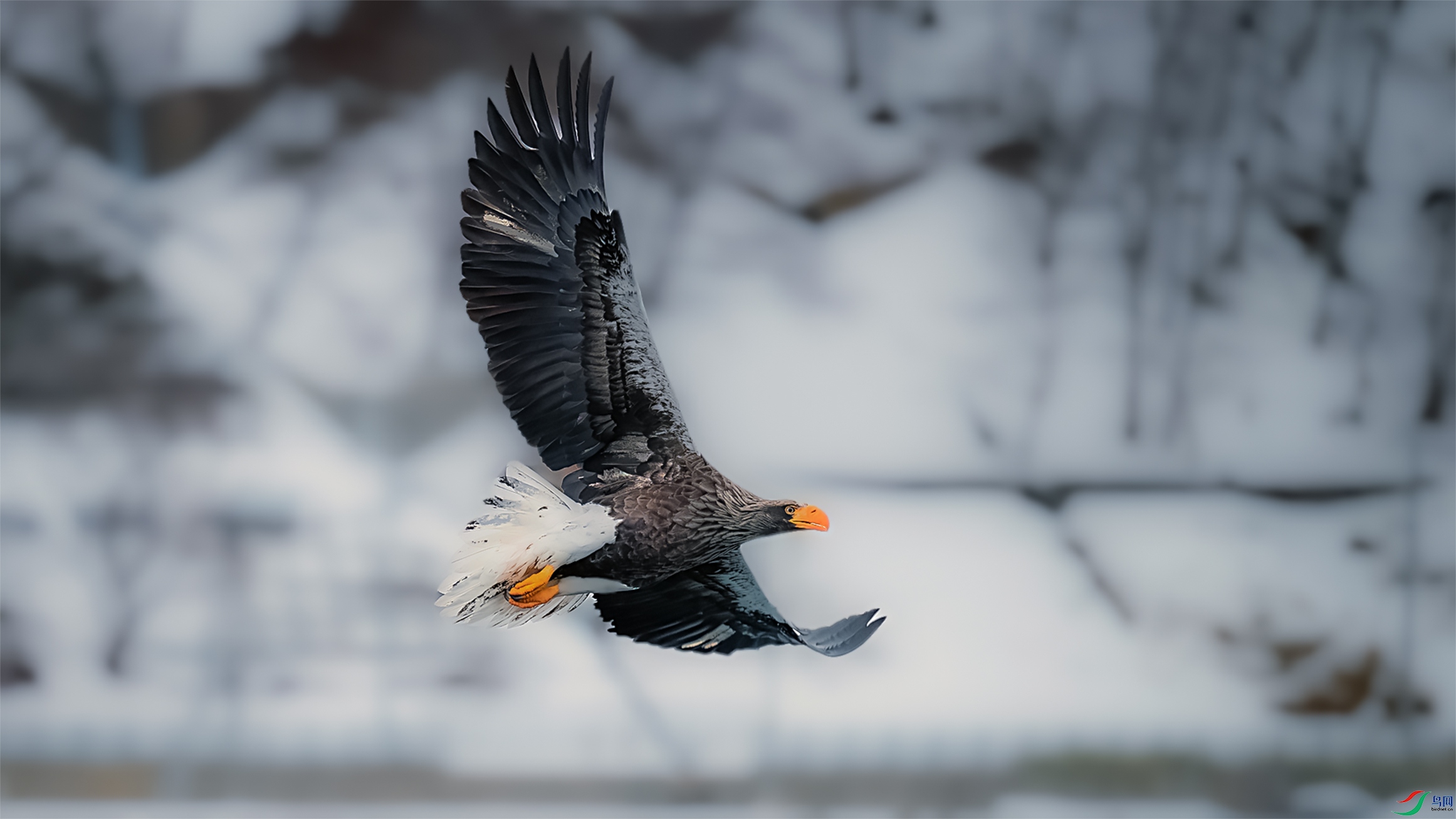 _DSC4963-����ǿ-NR-1-1w.jpg