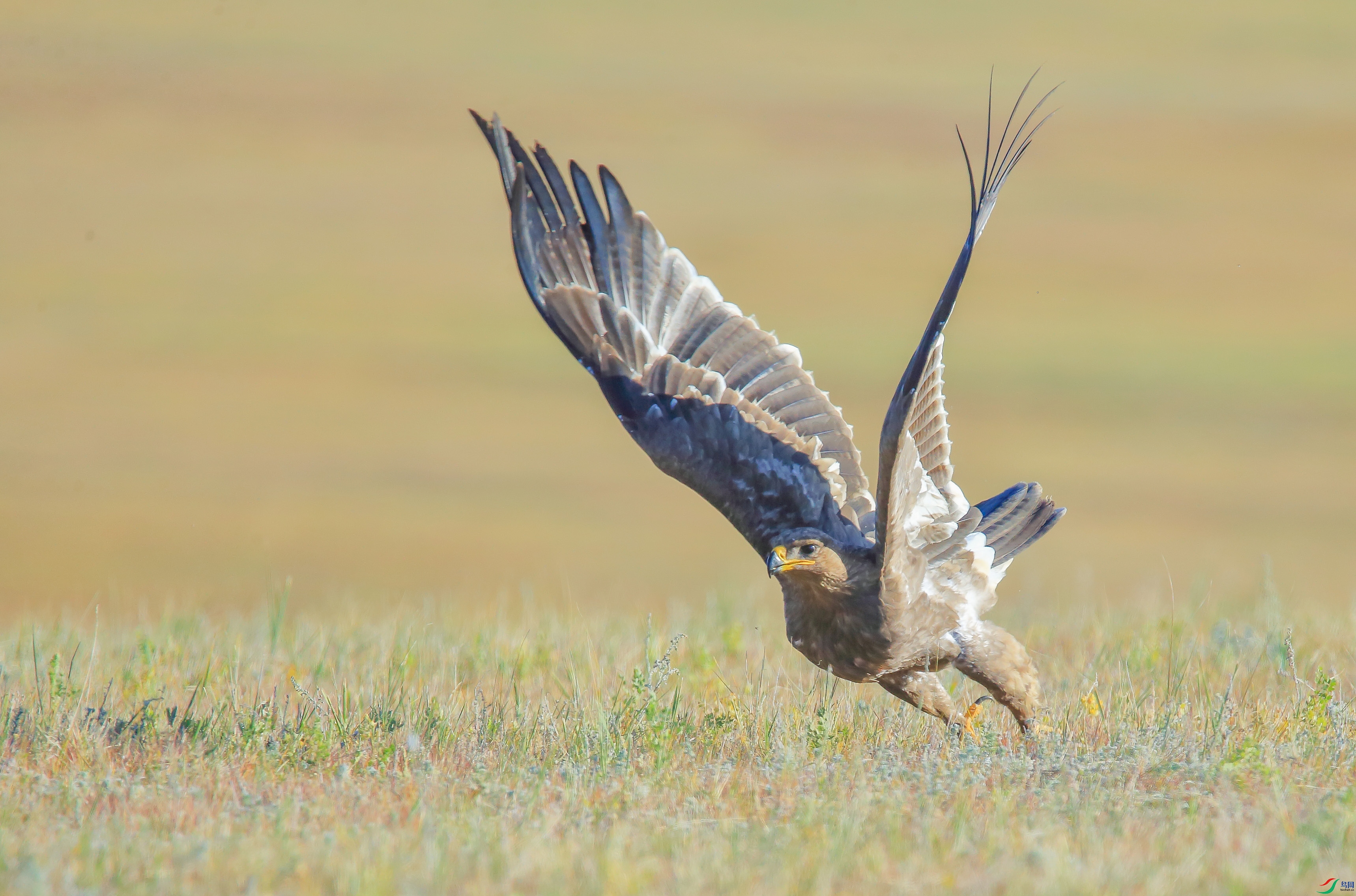 AM6Y0205 ����.jpg