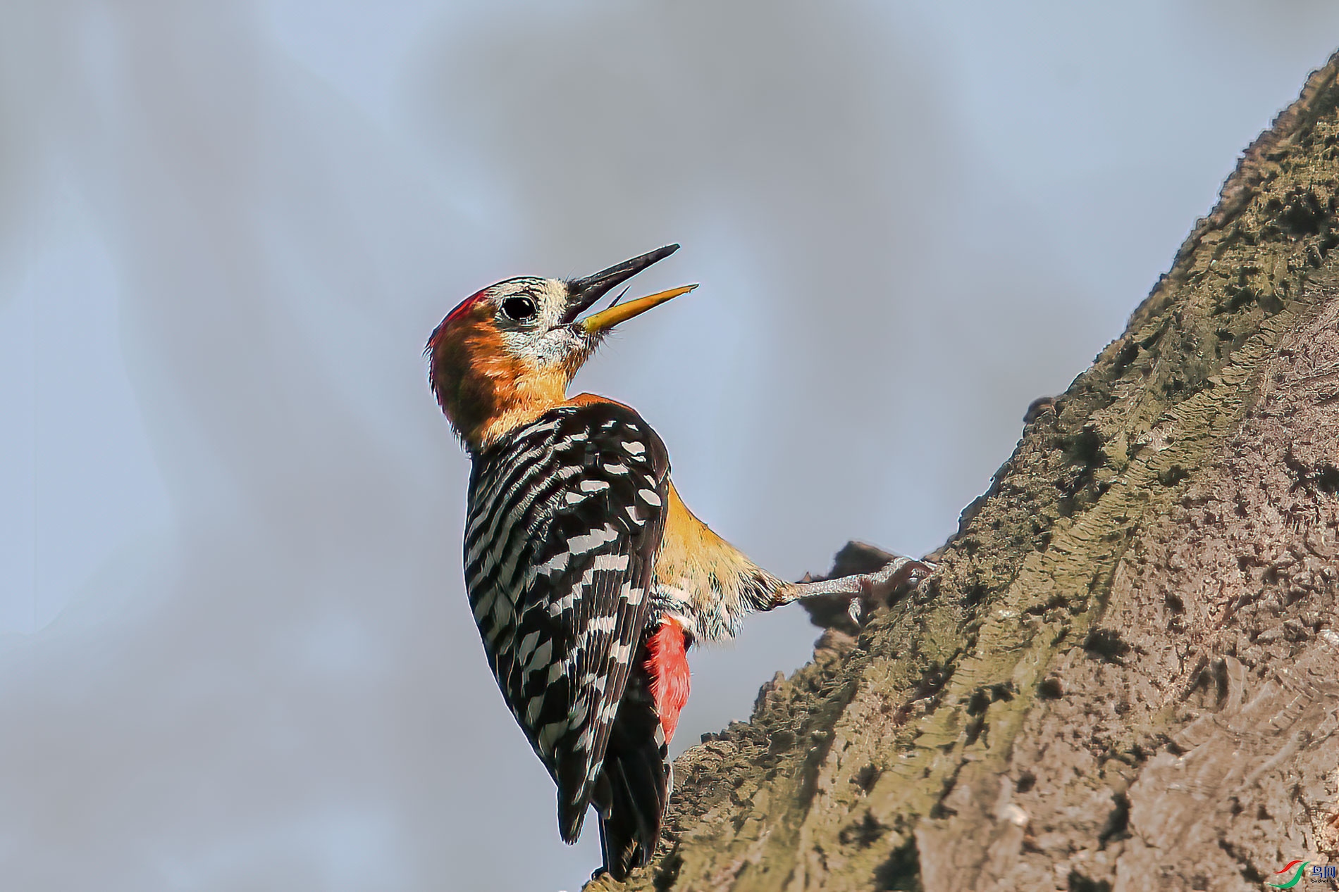 AQ4P0406-1.jpg