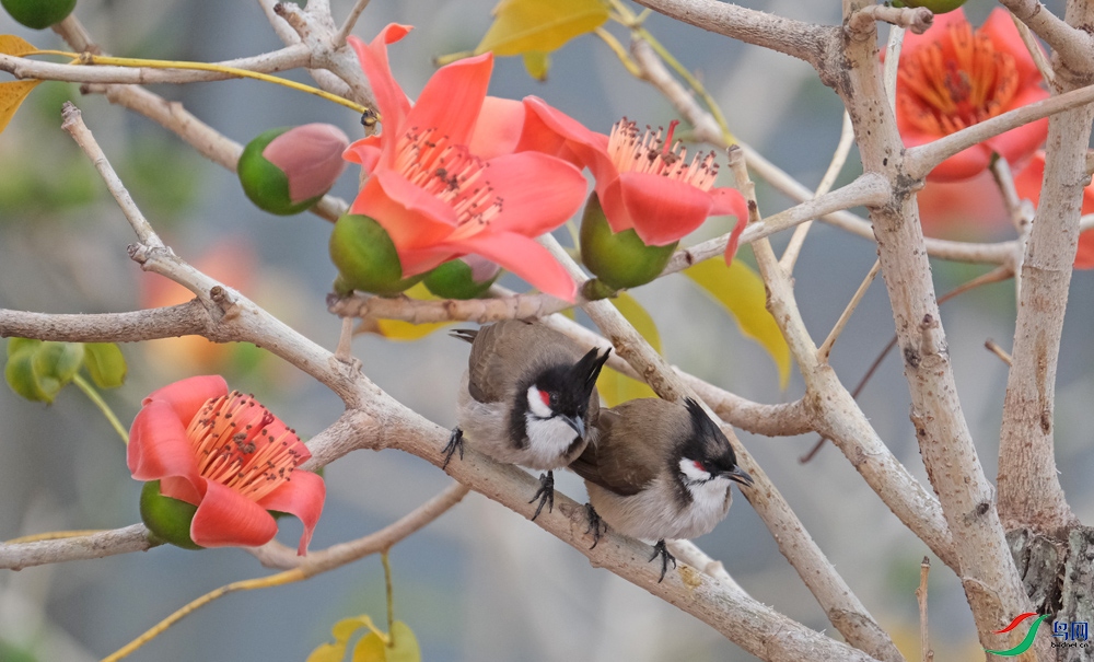DSCF8517.1.jpg