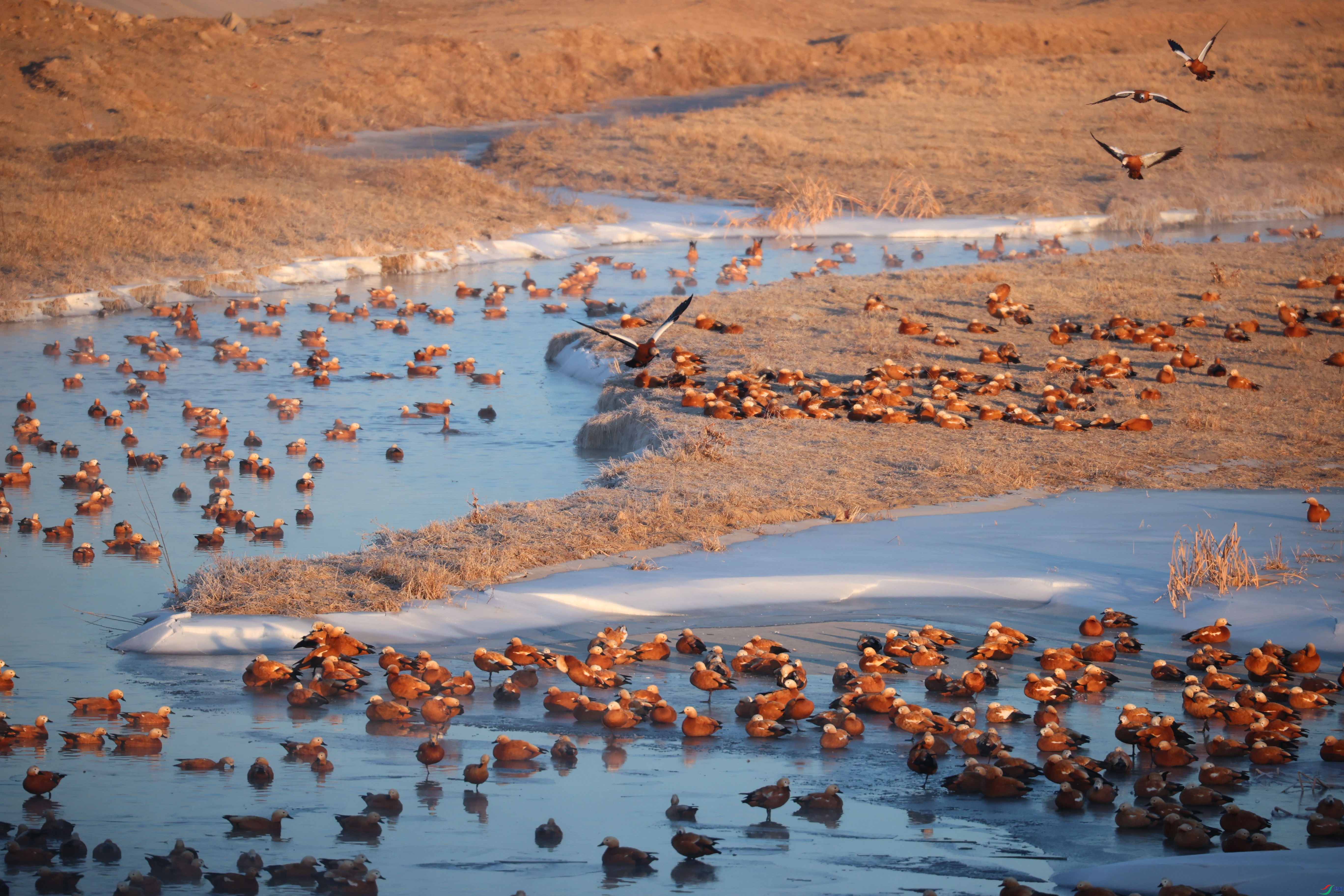 8301��ש����