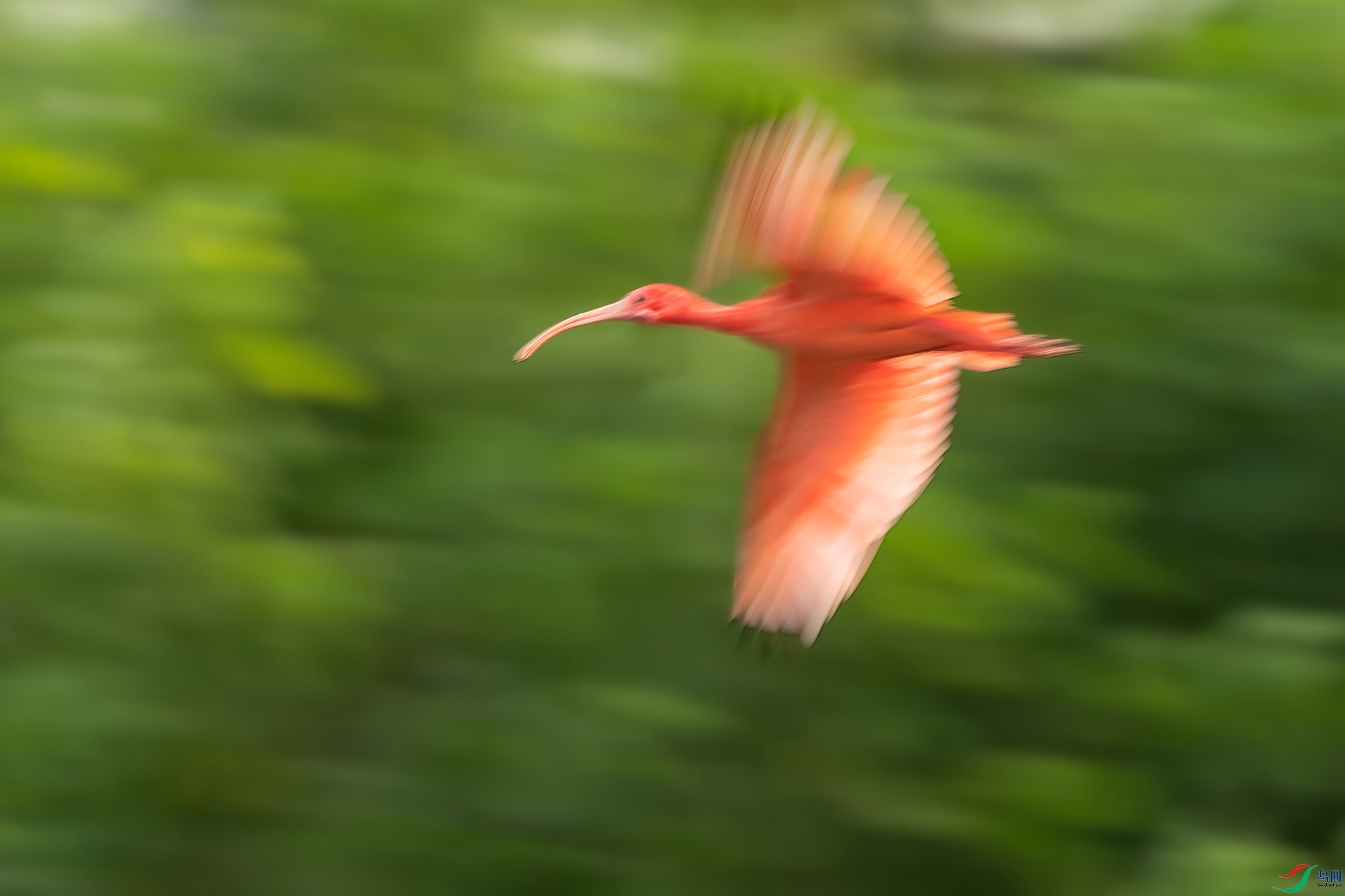 B86I5484 _����.jpg