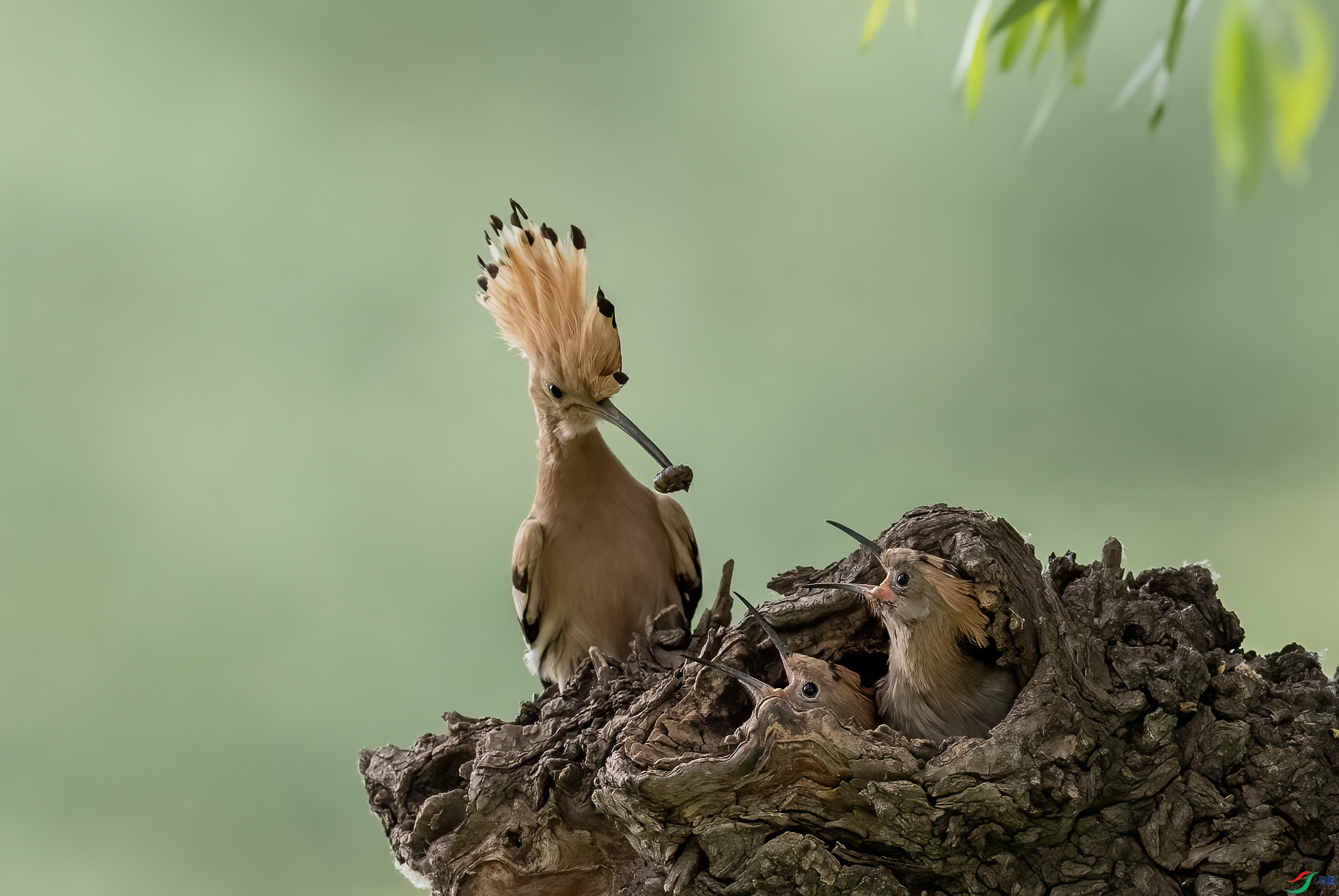 AC3I0282 ����.jpg