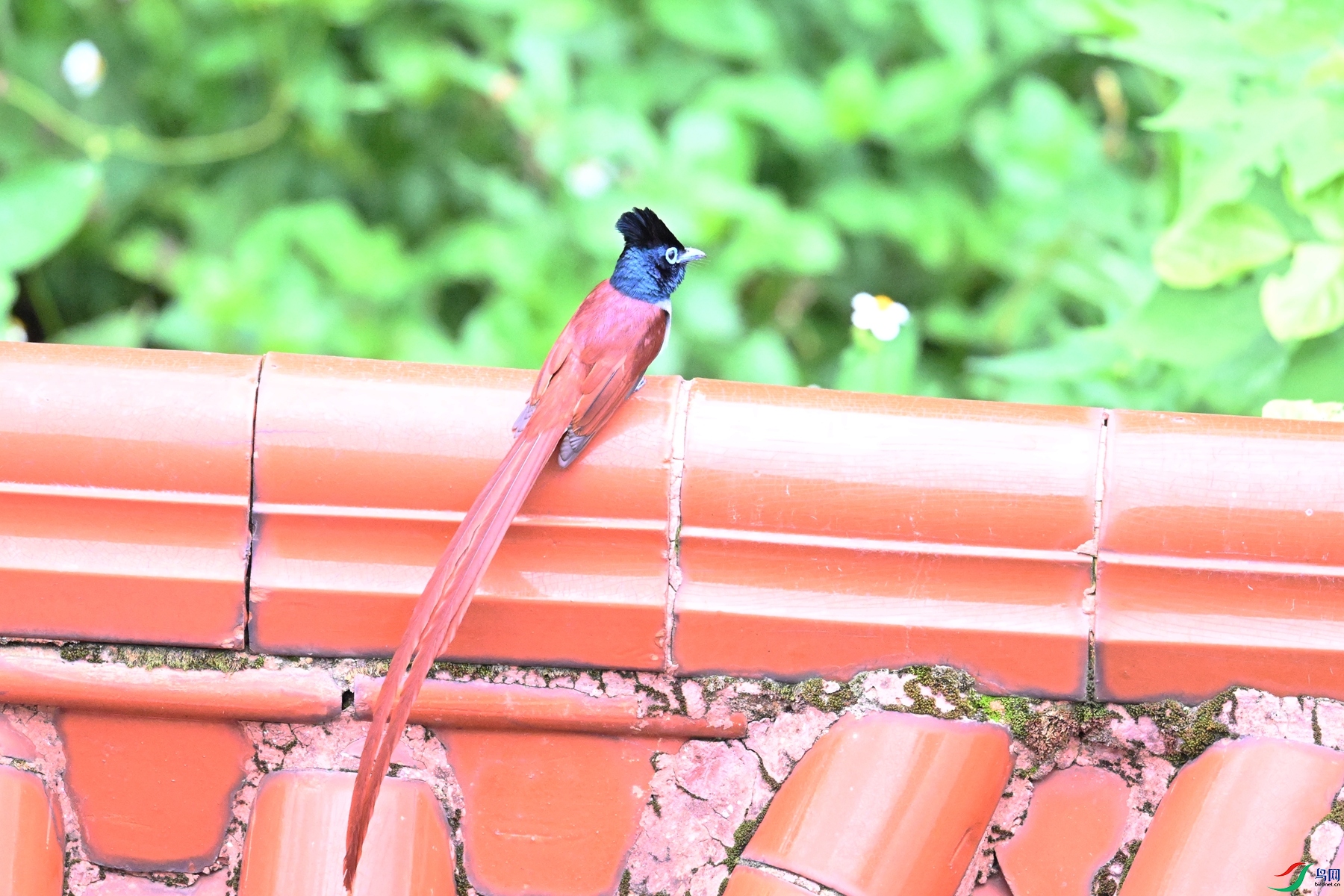DSC_6058.JPG