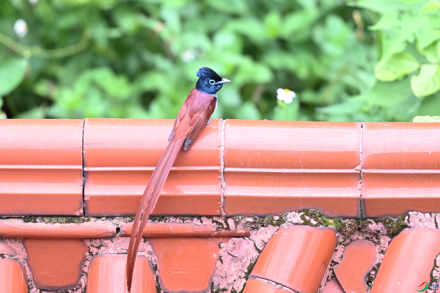 DSC_6055.JPG