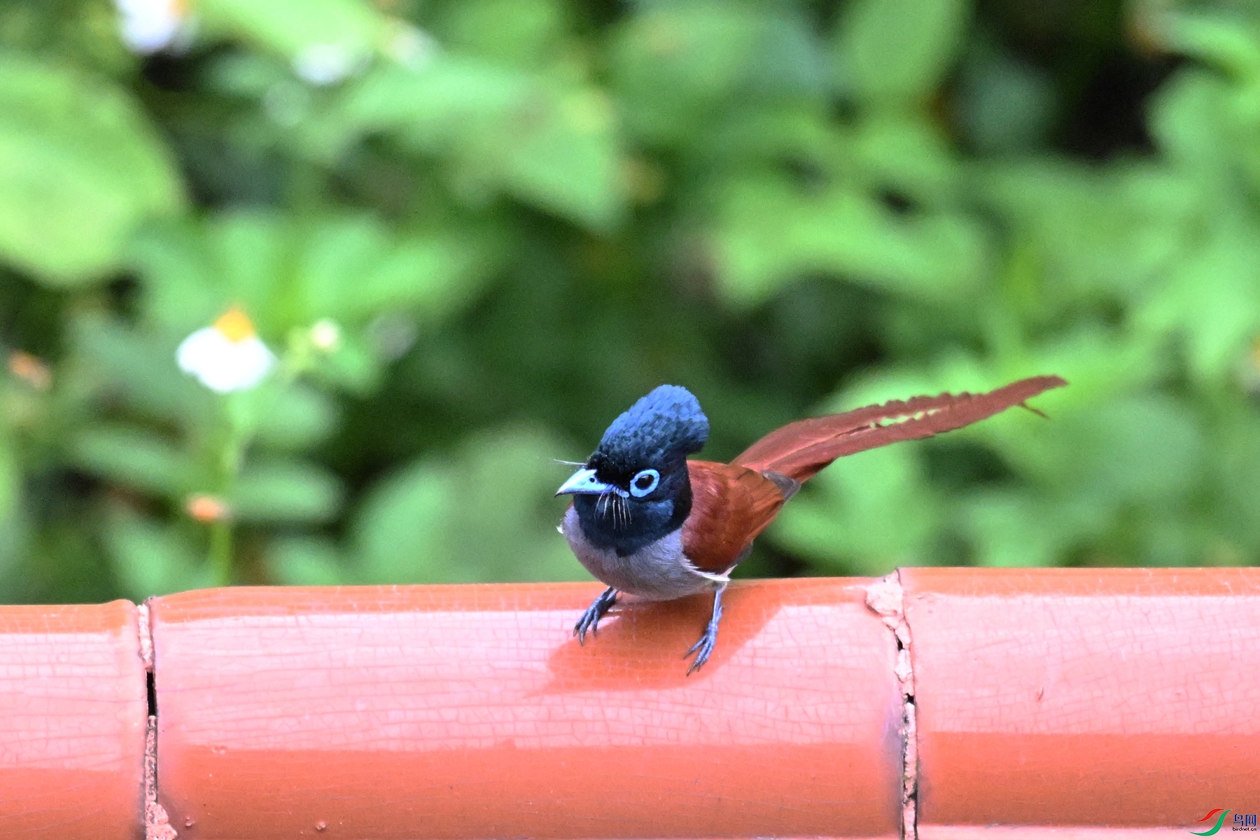 DSC_6040.JPG