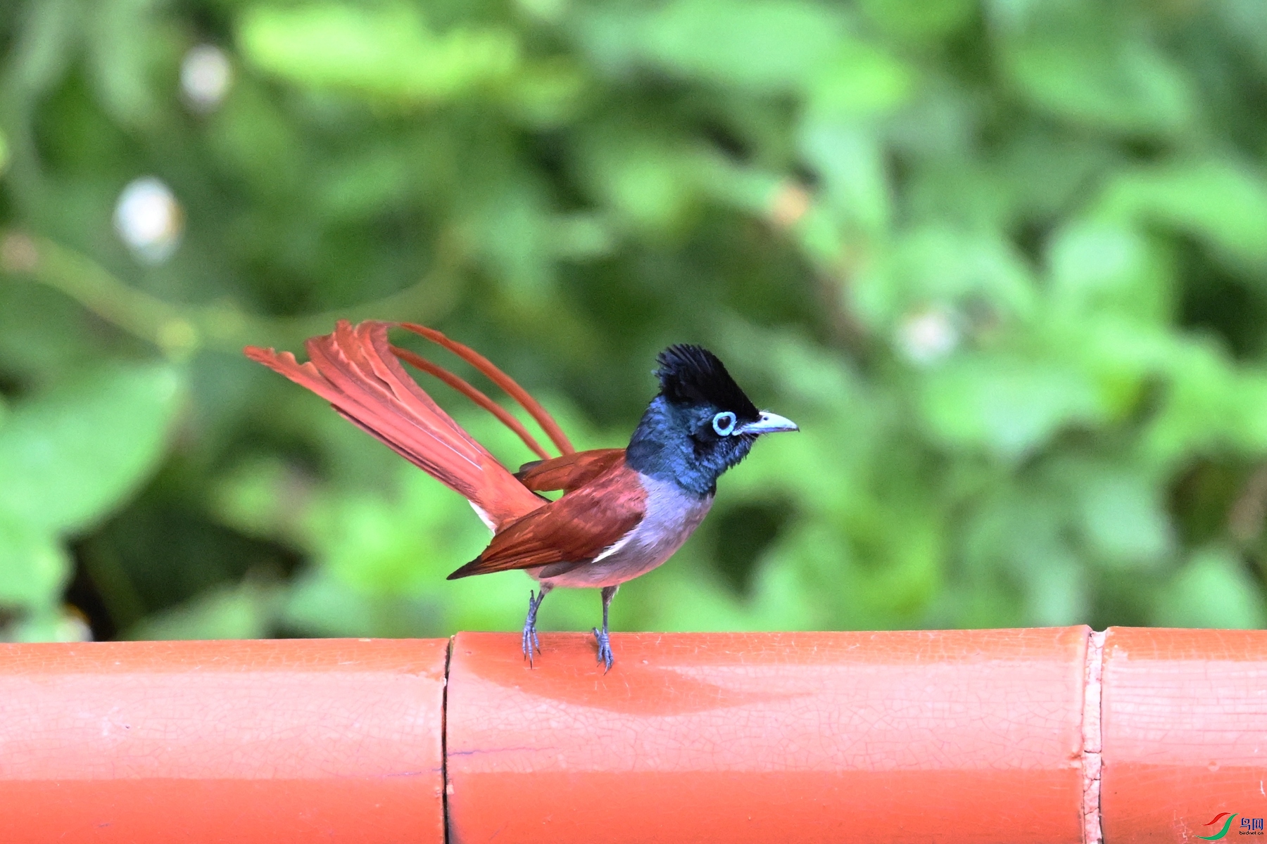 DSC_6050.JPG