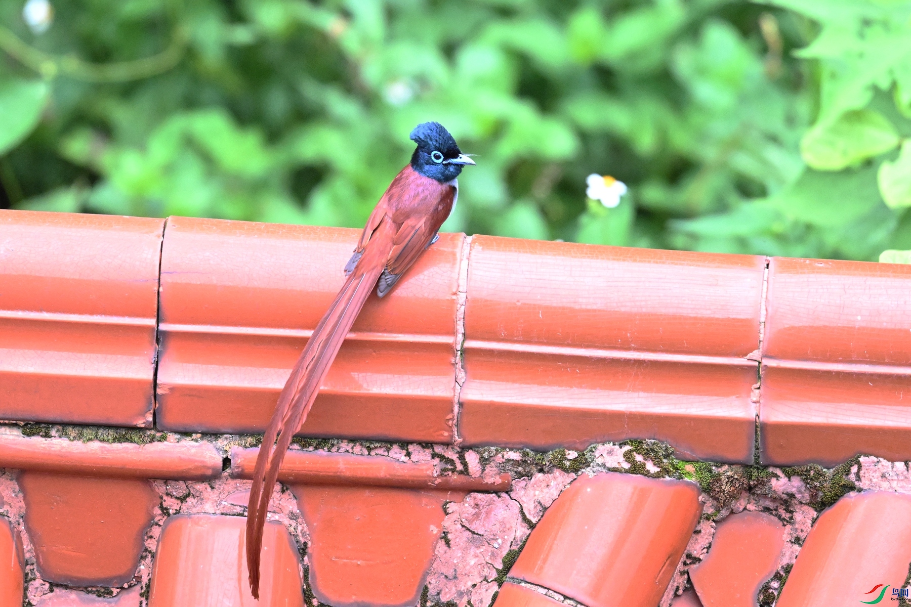DSC_6062.JPG