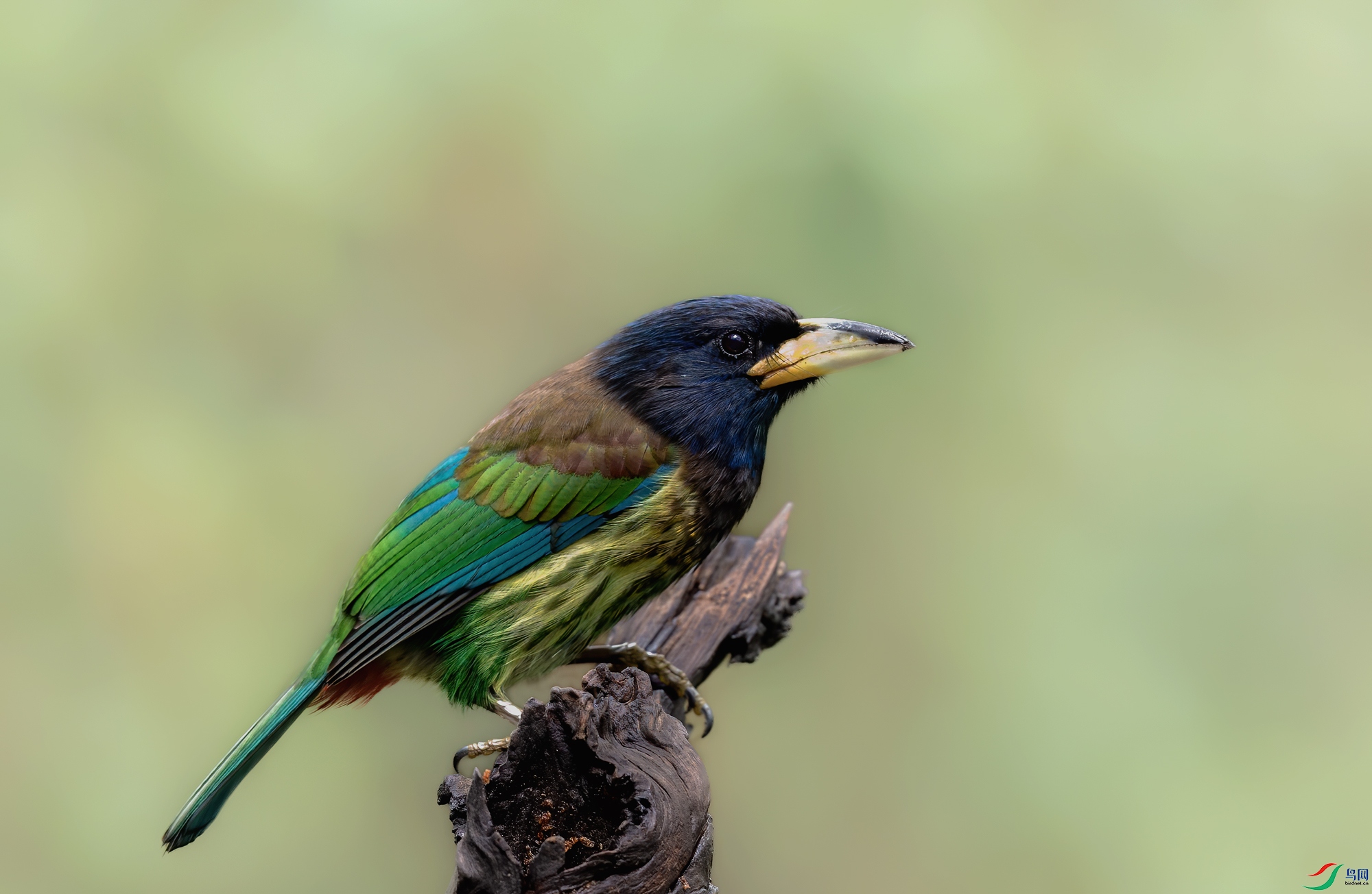 BJ1R6255-1.jpg