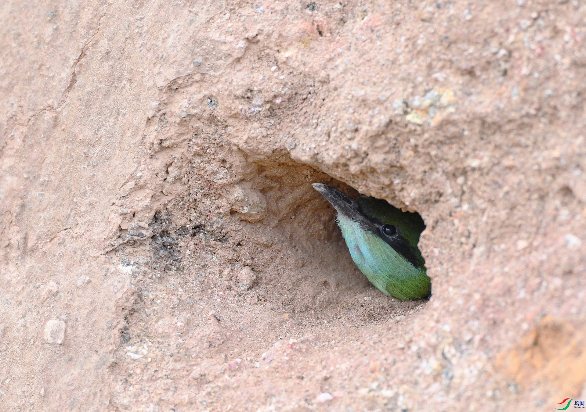 DSC_9209.jpg