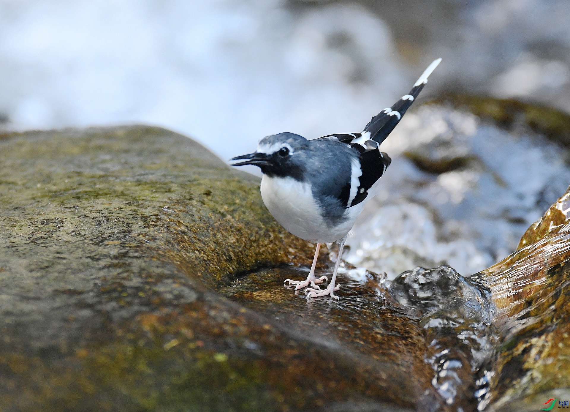 DSC_9461.jpg