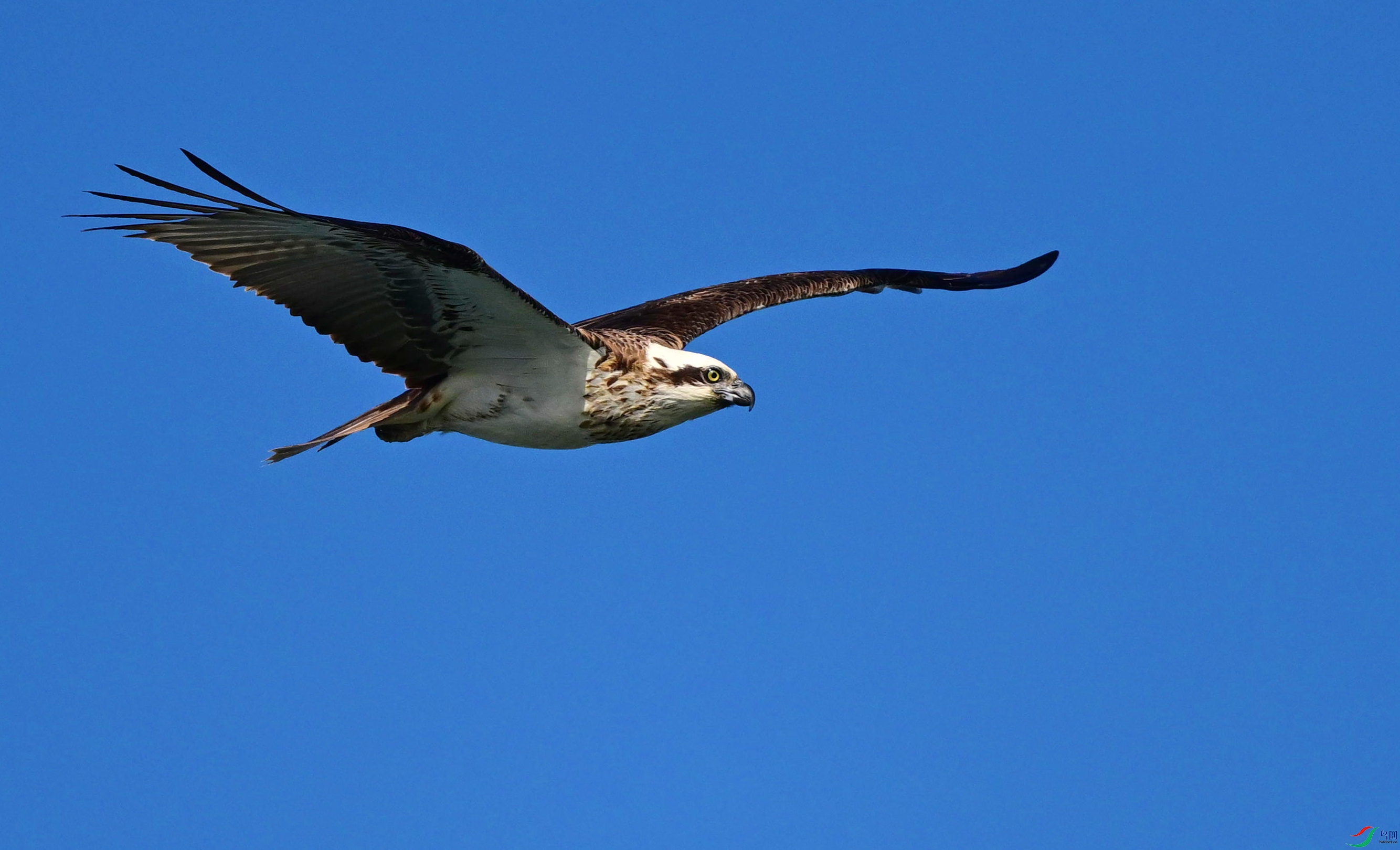 DSC_6336_��ͼ��_����.jpg