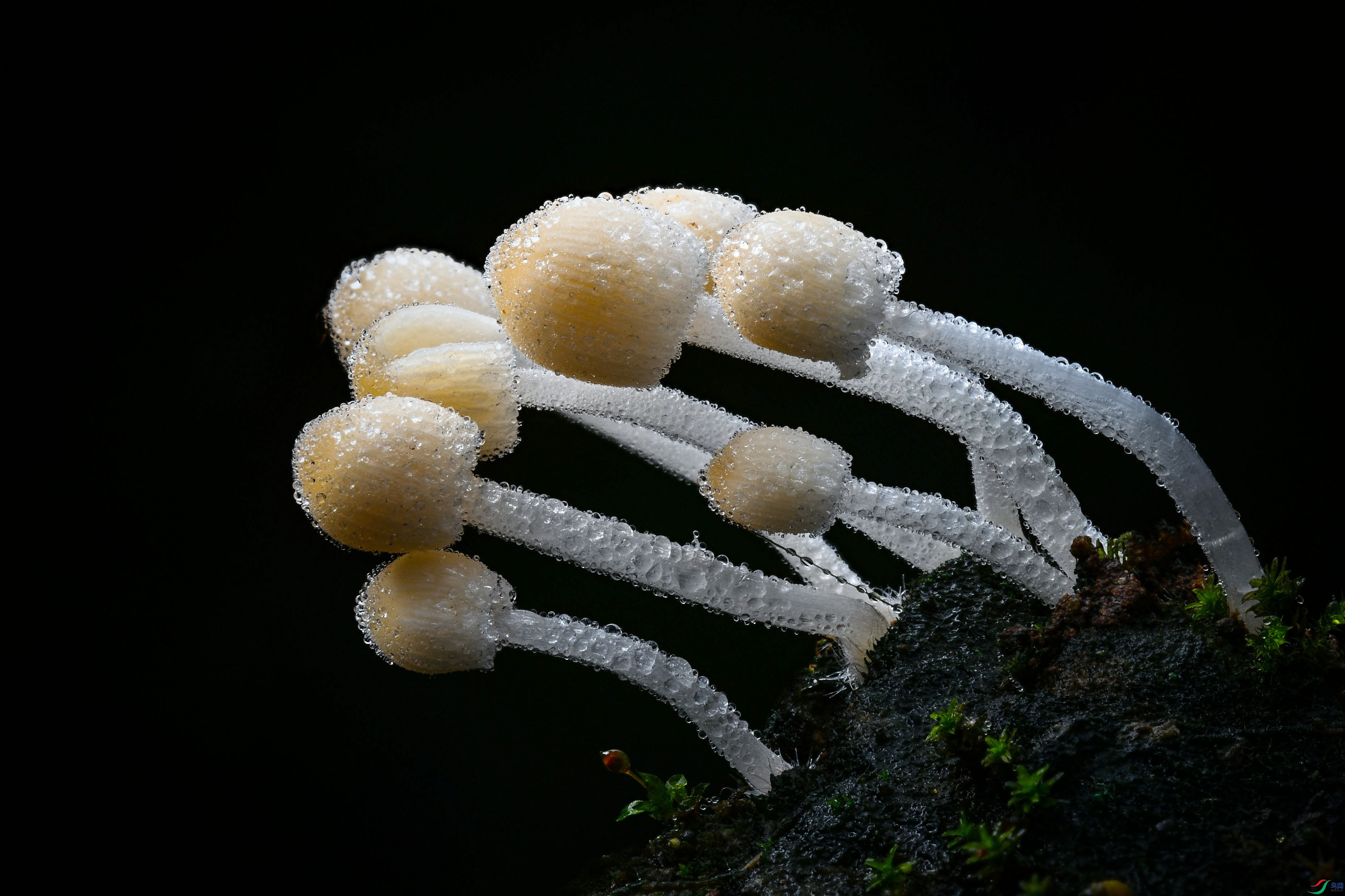 2024-11-12 20-28-35 (C,Smoothing4).jpg