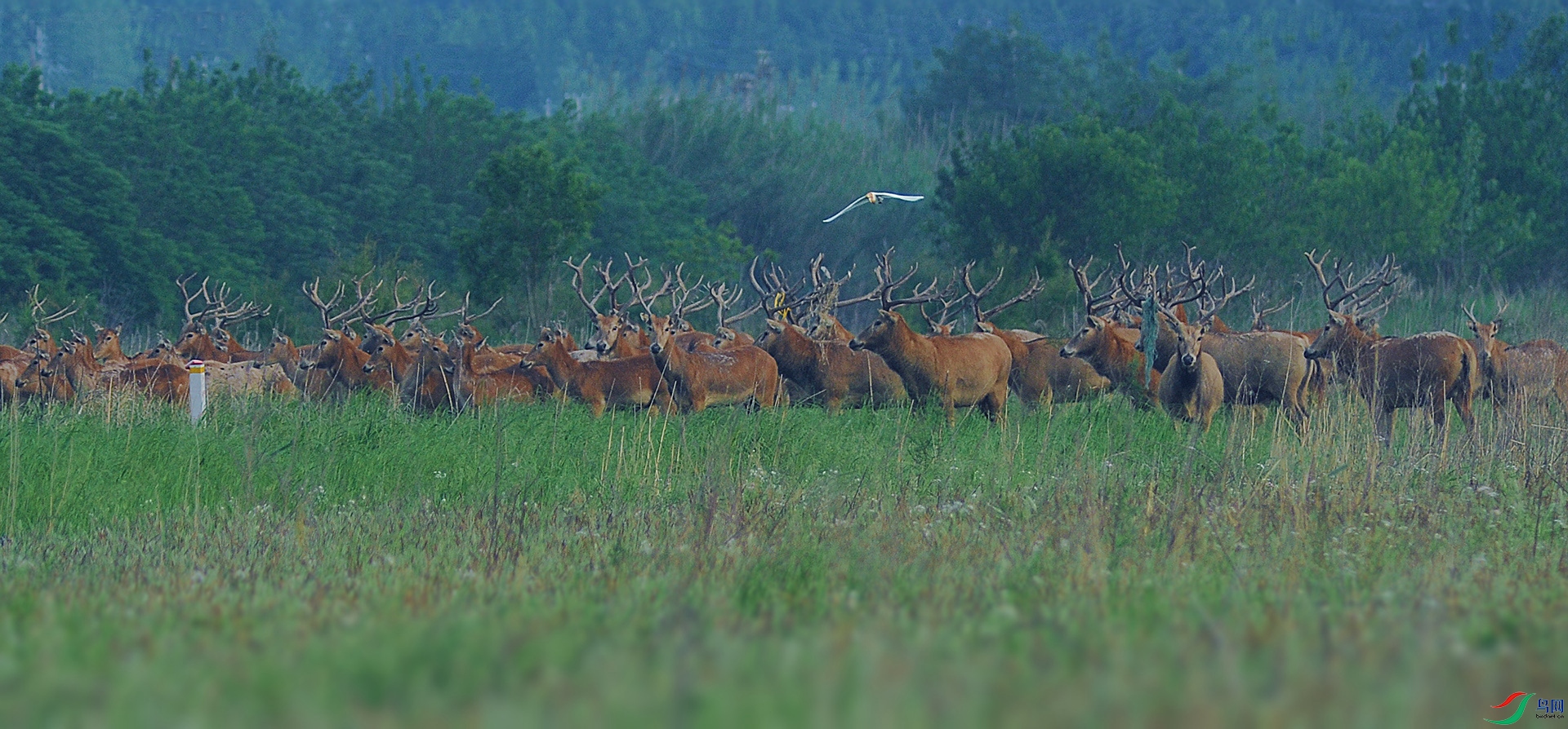 DSC_1107_2.jpg