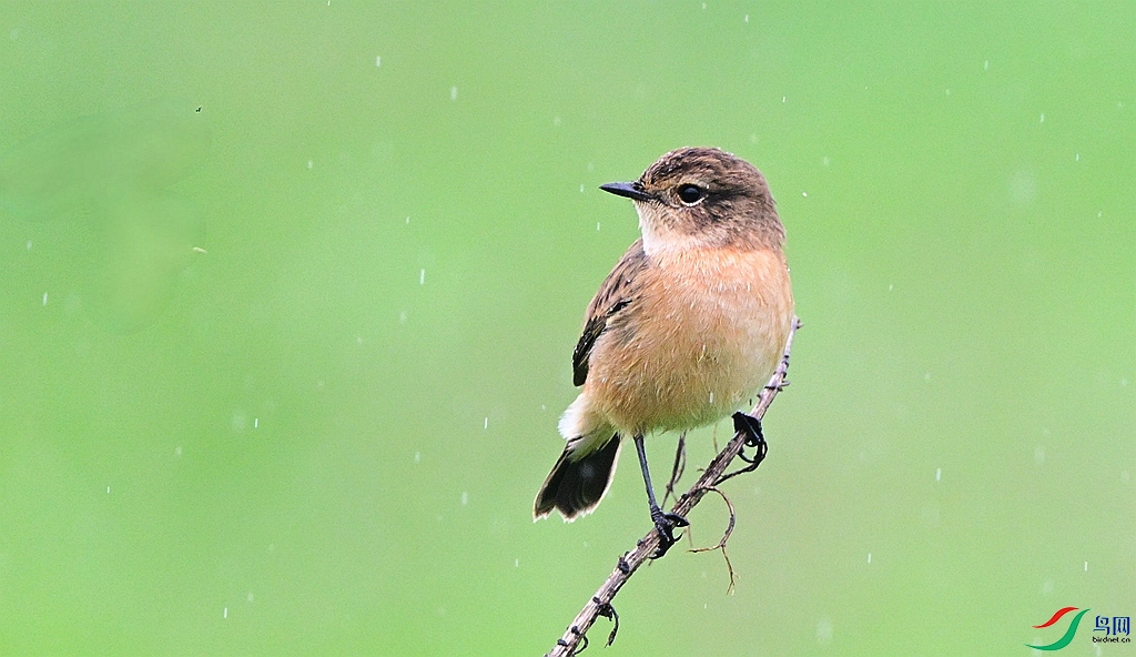 DSC_0758.JPG