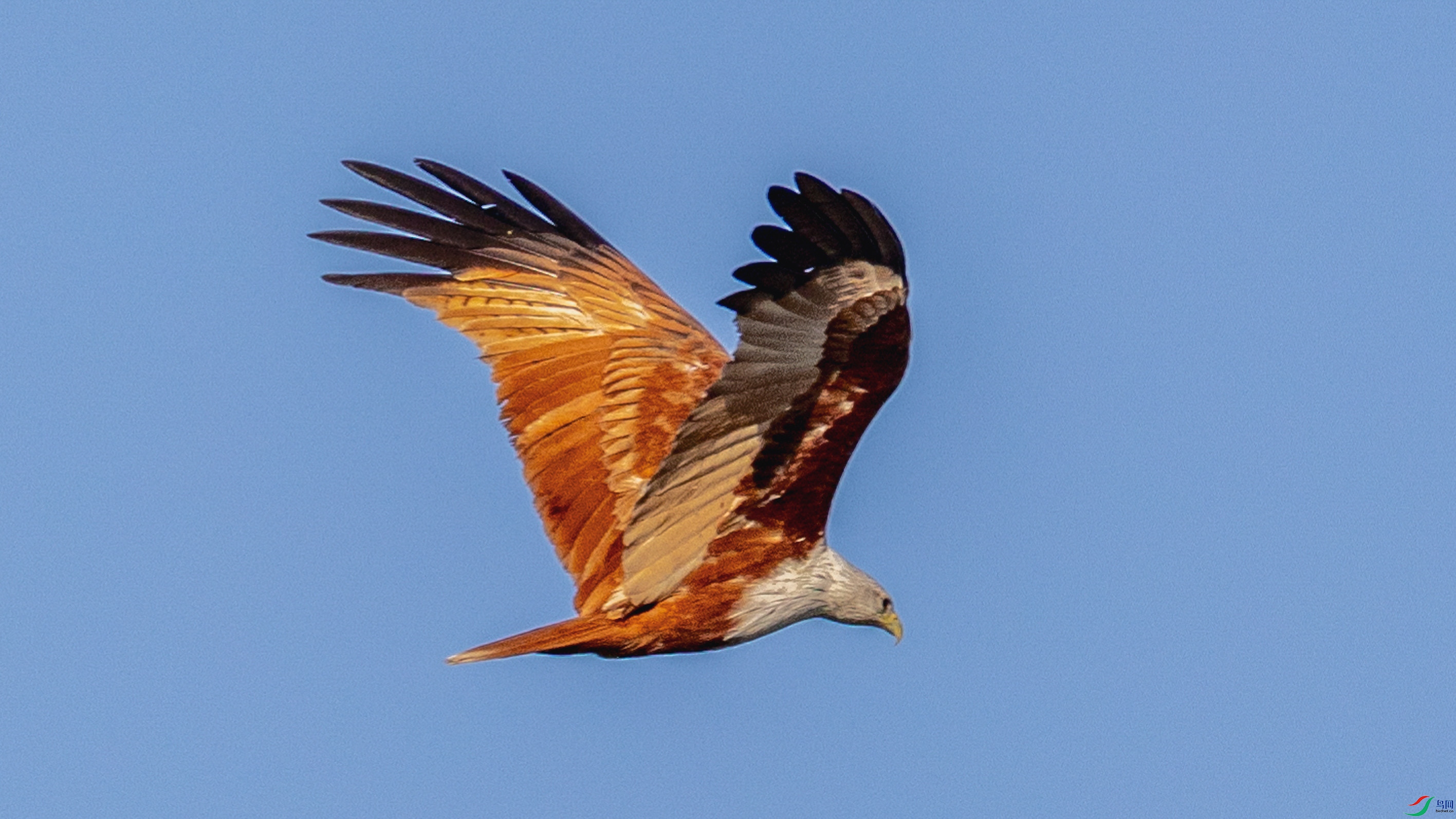 4Z6A5973.jpg