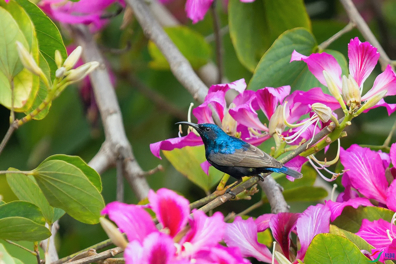 DSC_5748_DxOa.jpg