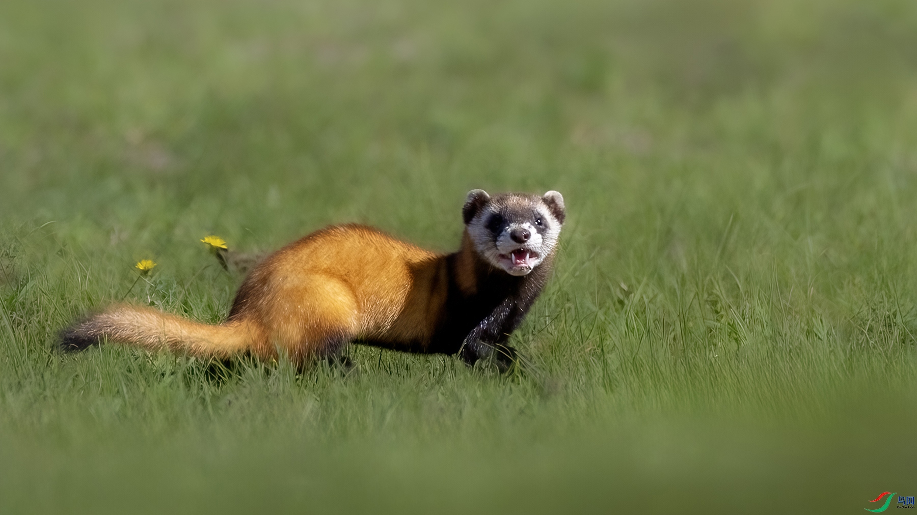 IMG_4935 ���� 2.jpg