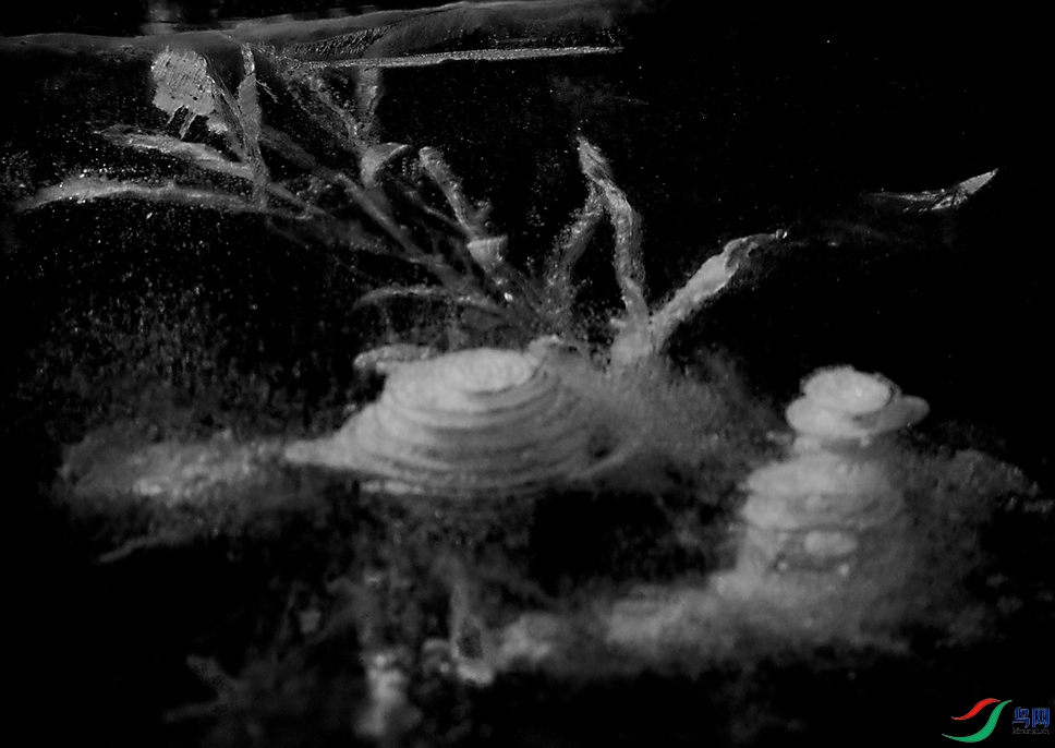 r001-002 ����.jpg