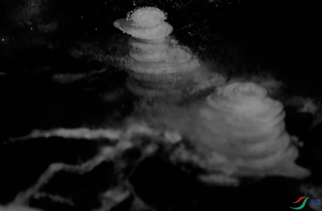 r001-003 ����.jpg