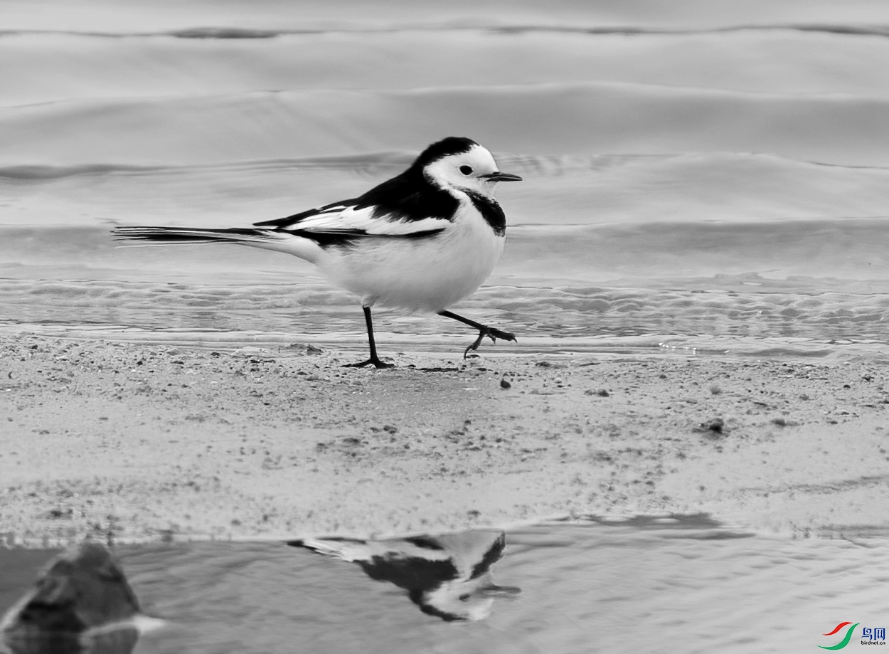 DSC08107 ����_����.jpg