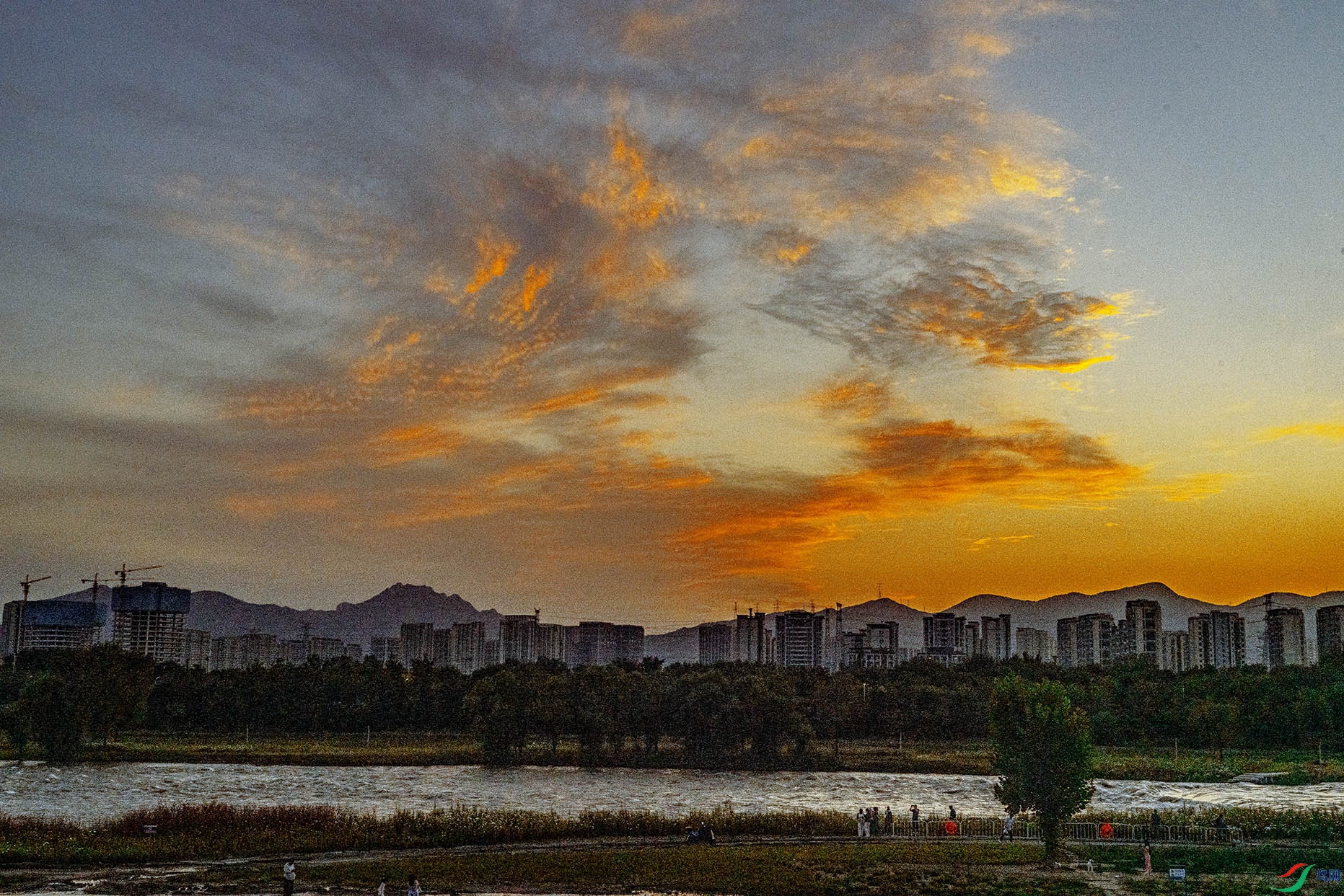 DSC07914 ����.jpg