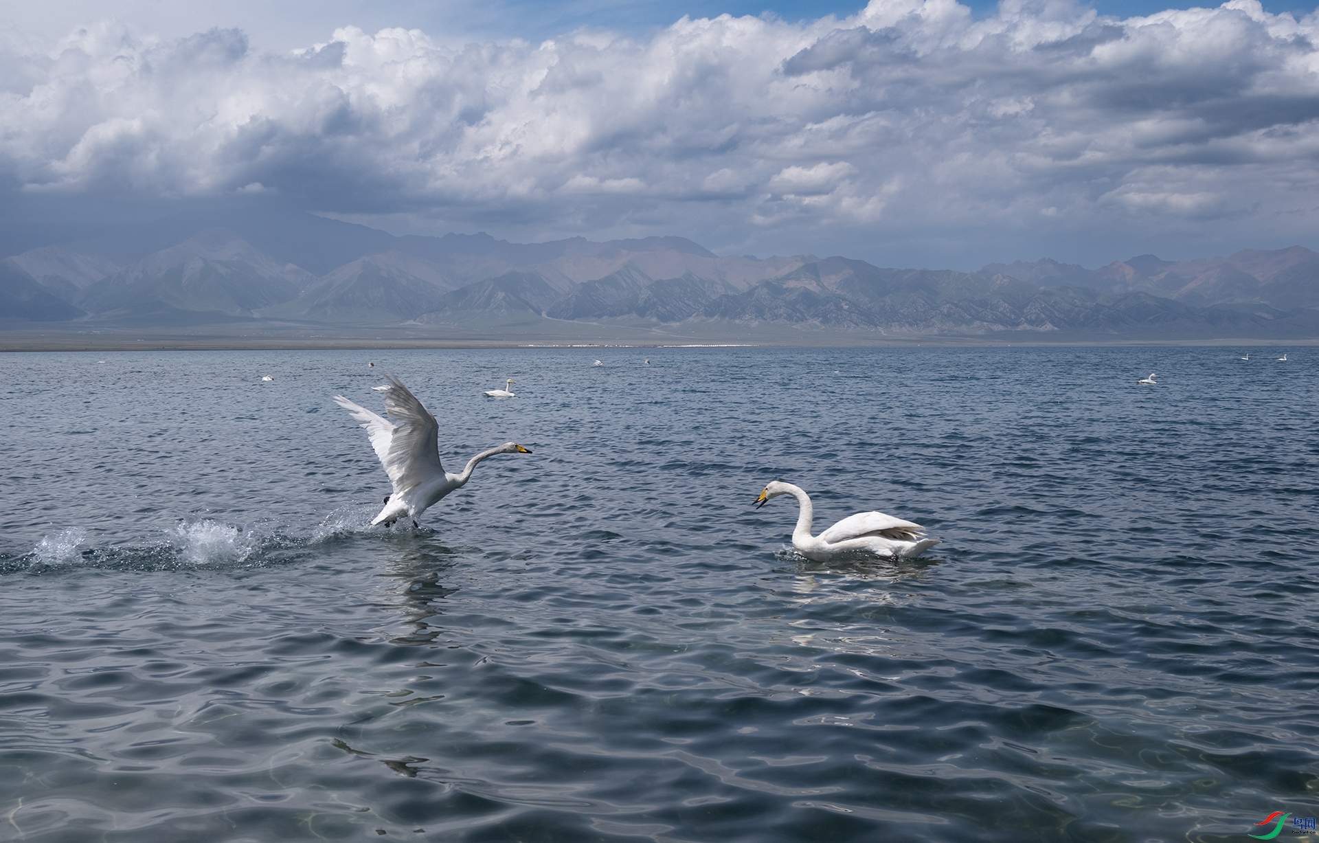 DSC_8906 - ����ľ���еľ���.jpg