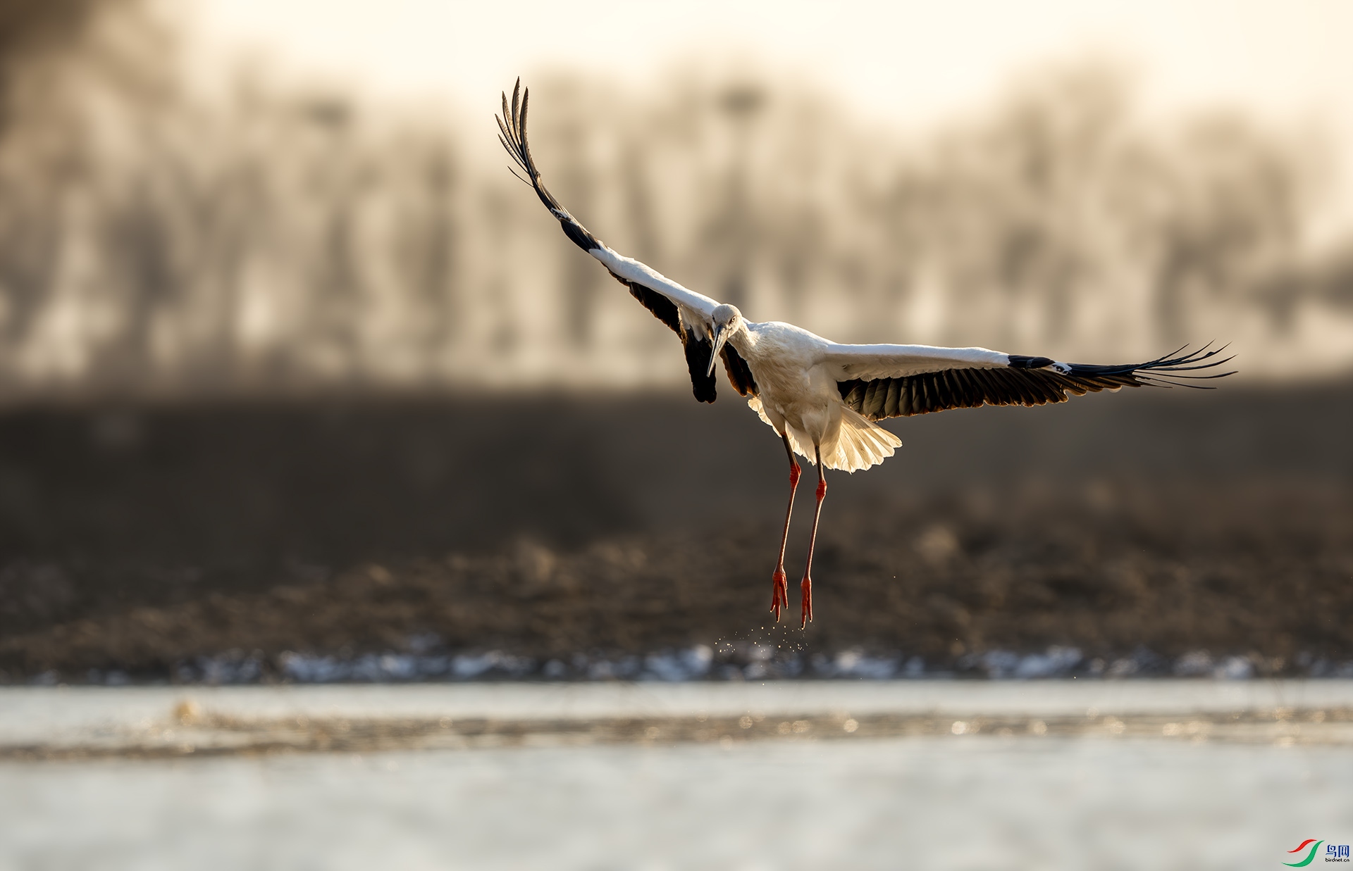 DSC00263-����ǿ-NR ����.jpg