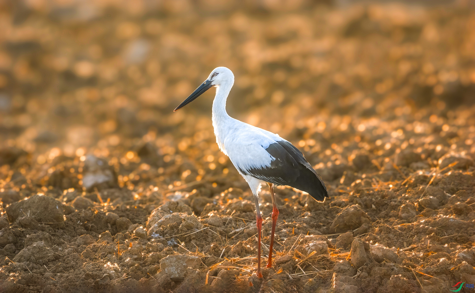 DSC08034 ���� 4.jpg