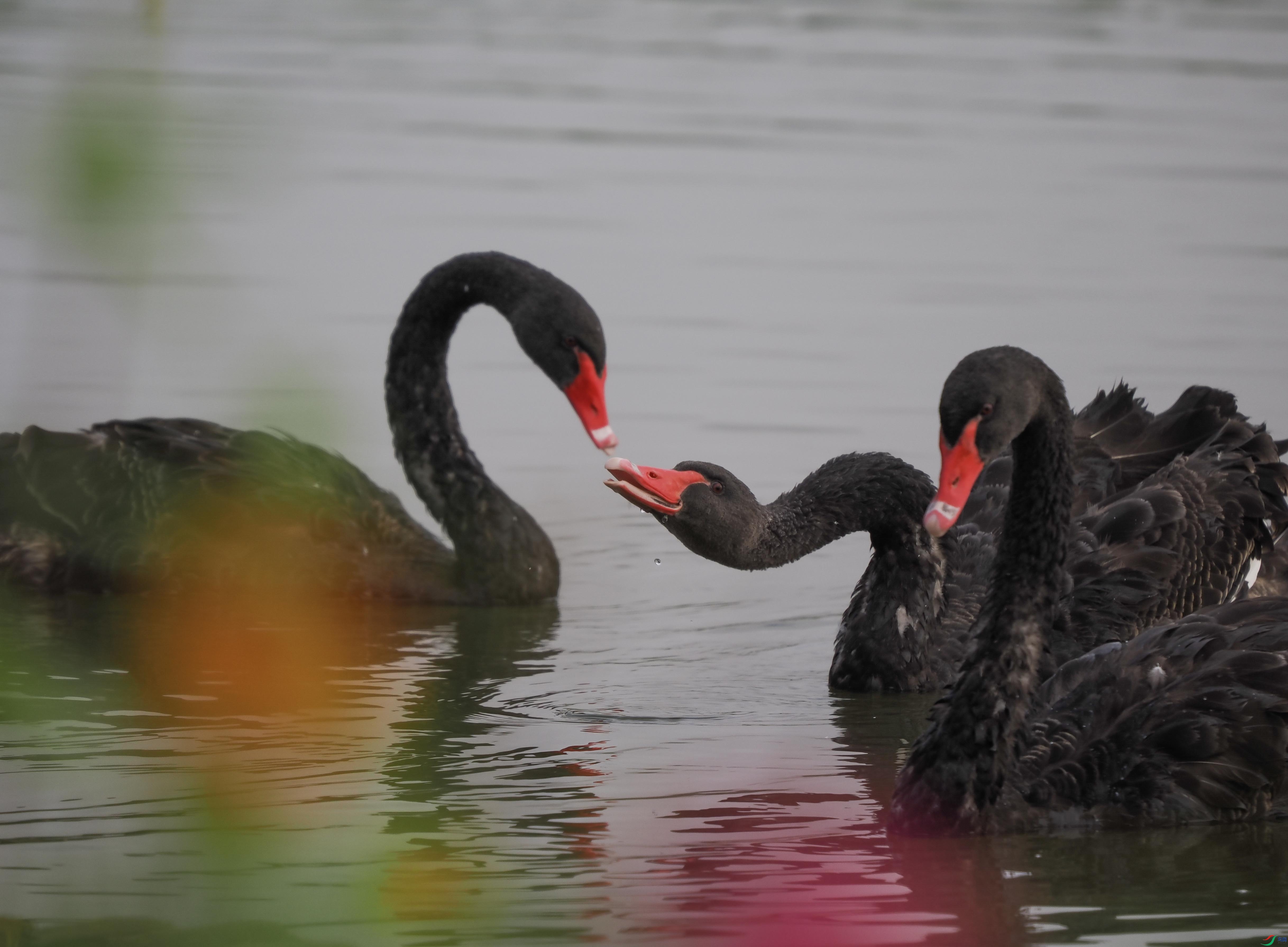 1-xtP9240616 ����.jpg