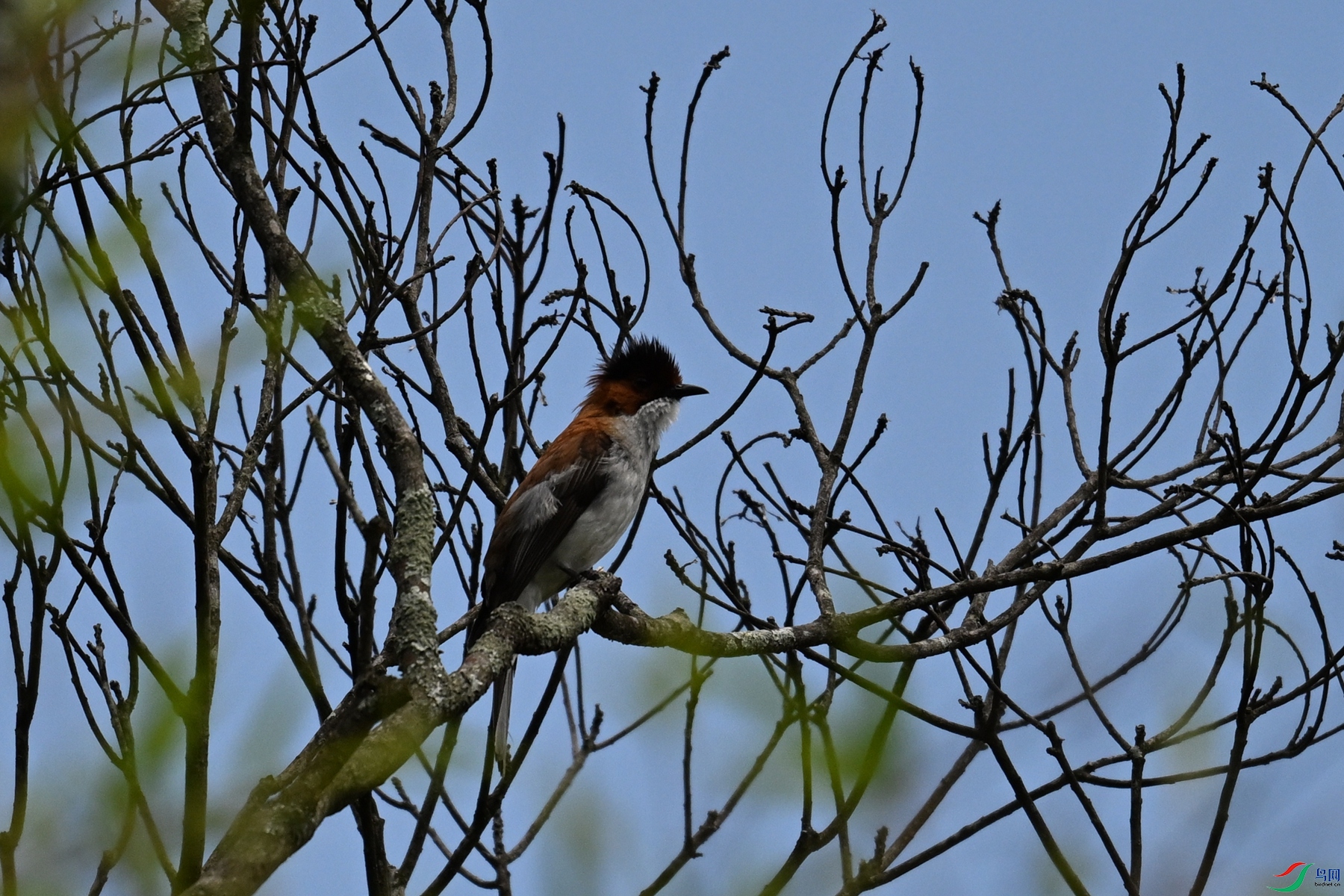 DSC_9263.JPG