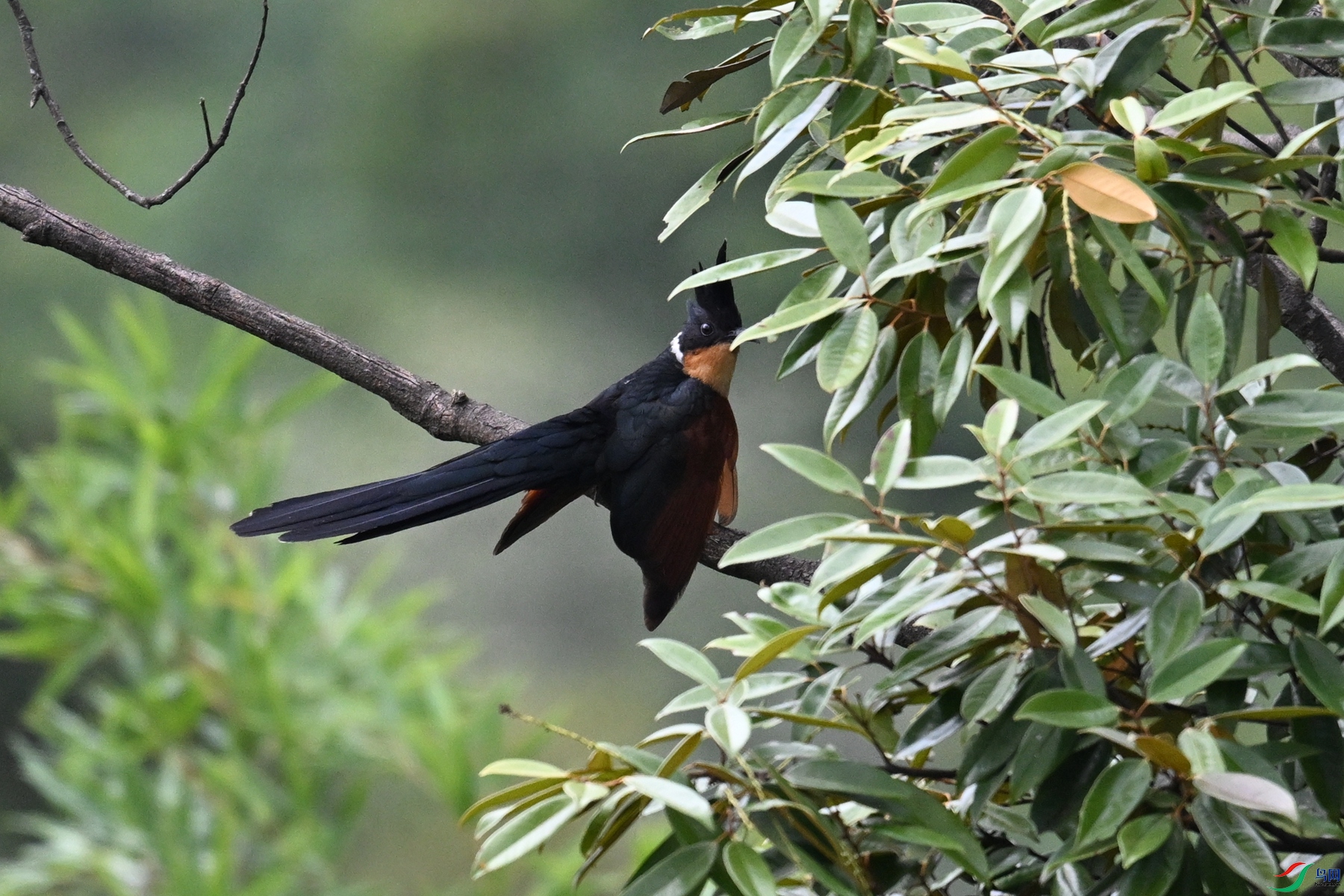 DSC_9215.JPG