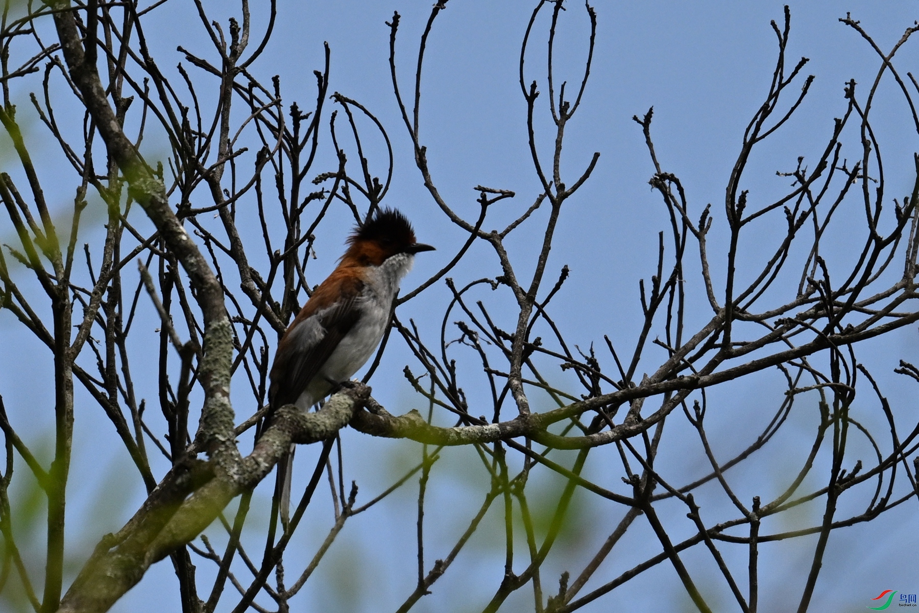 DSC_9266.JPG