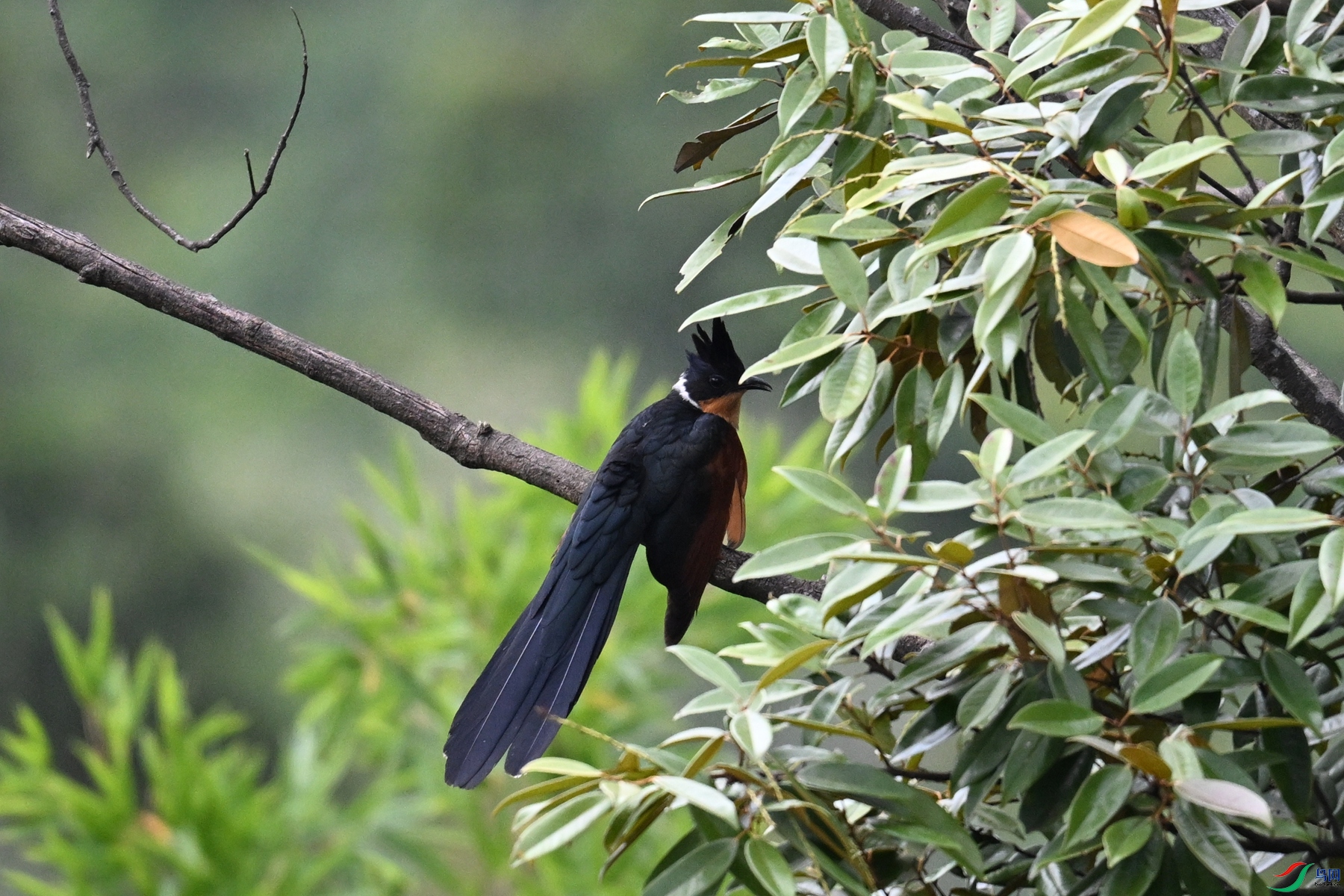 DSC_9224.JPG