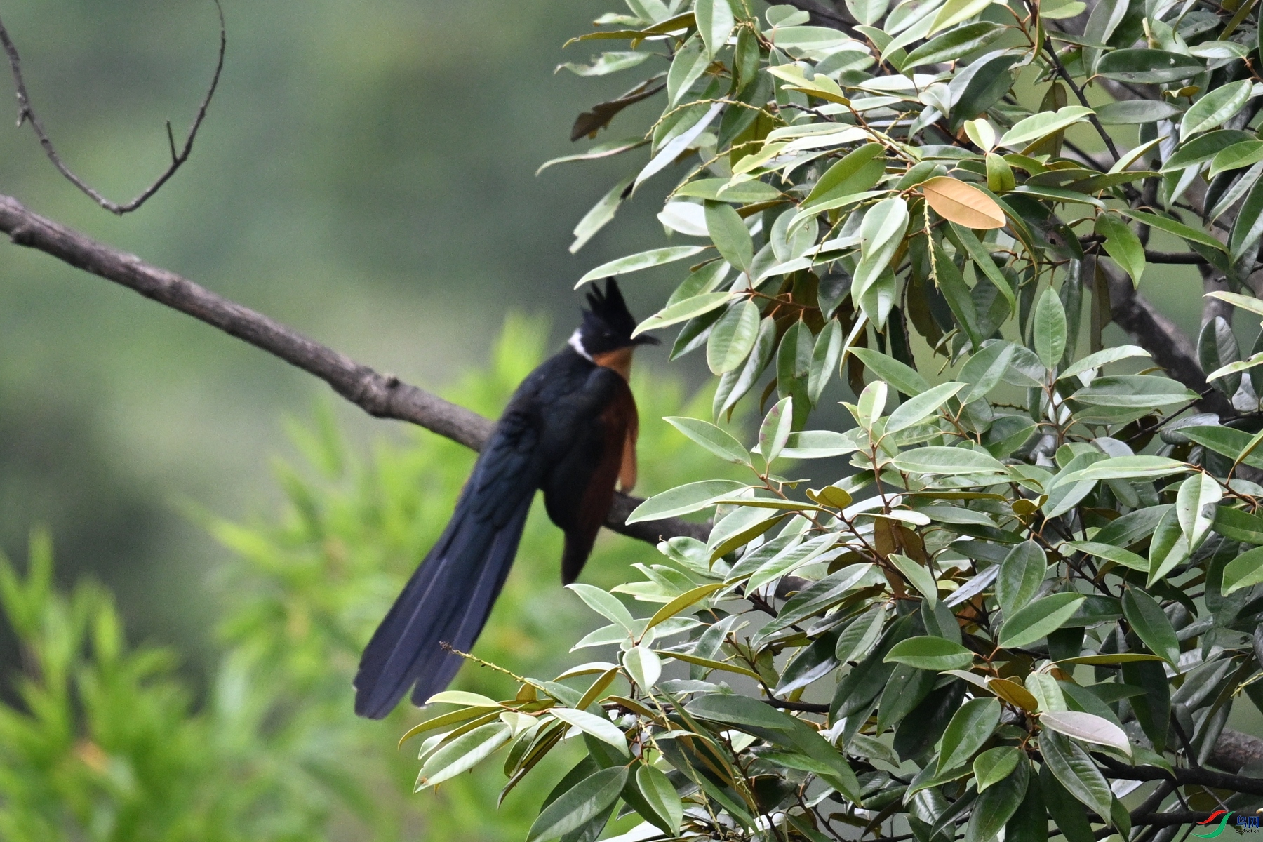 DSC_9225.JPG