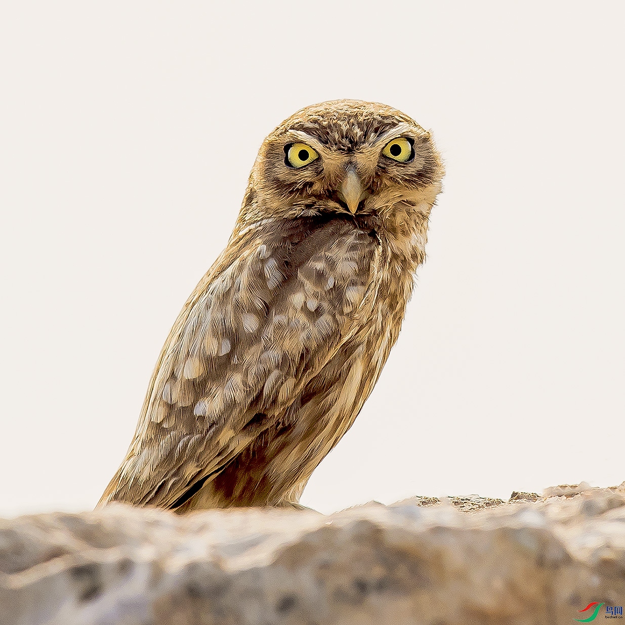 _90I2640 ���� 2.jpg