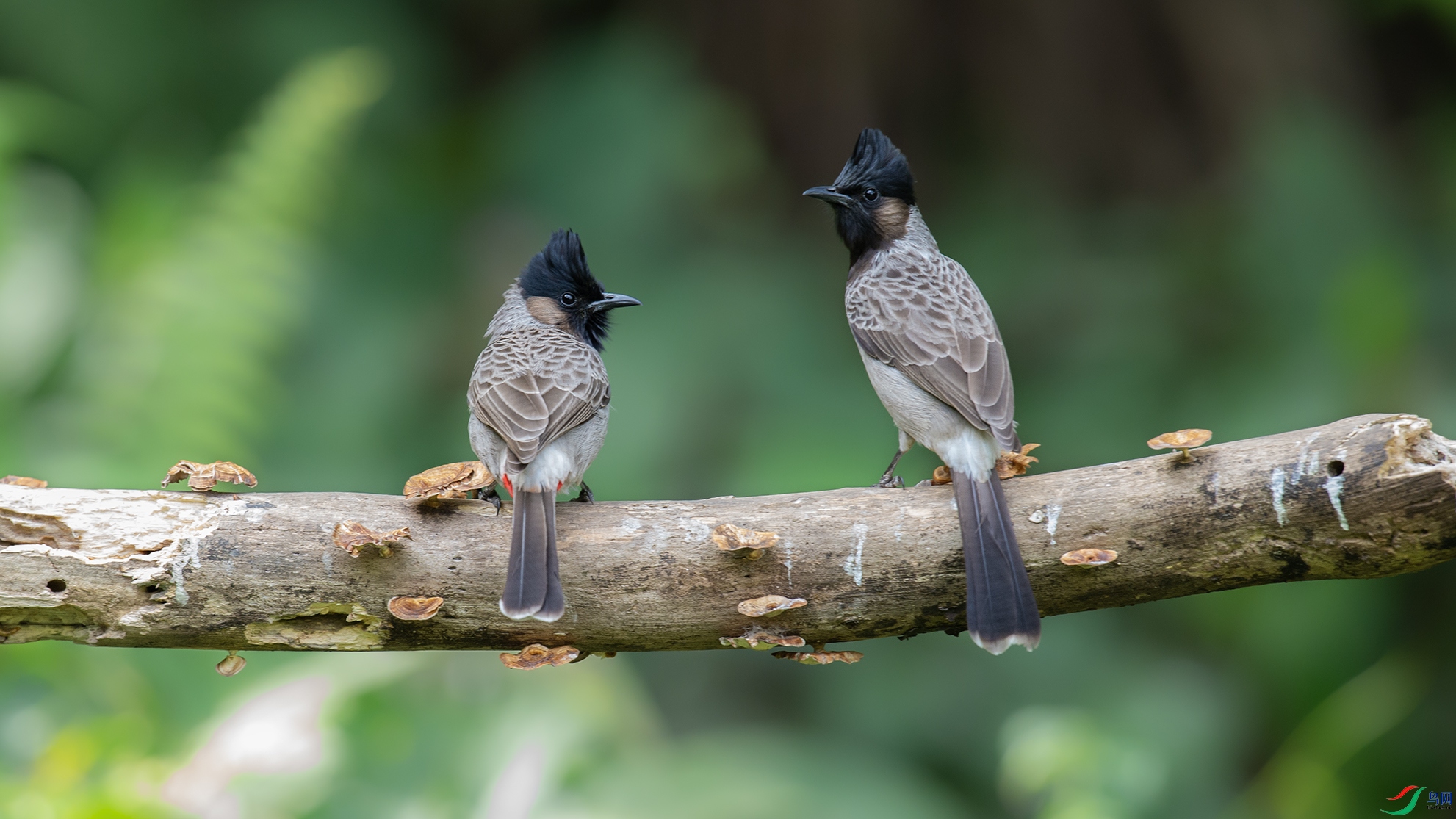 _DSC2611 ����.jpg