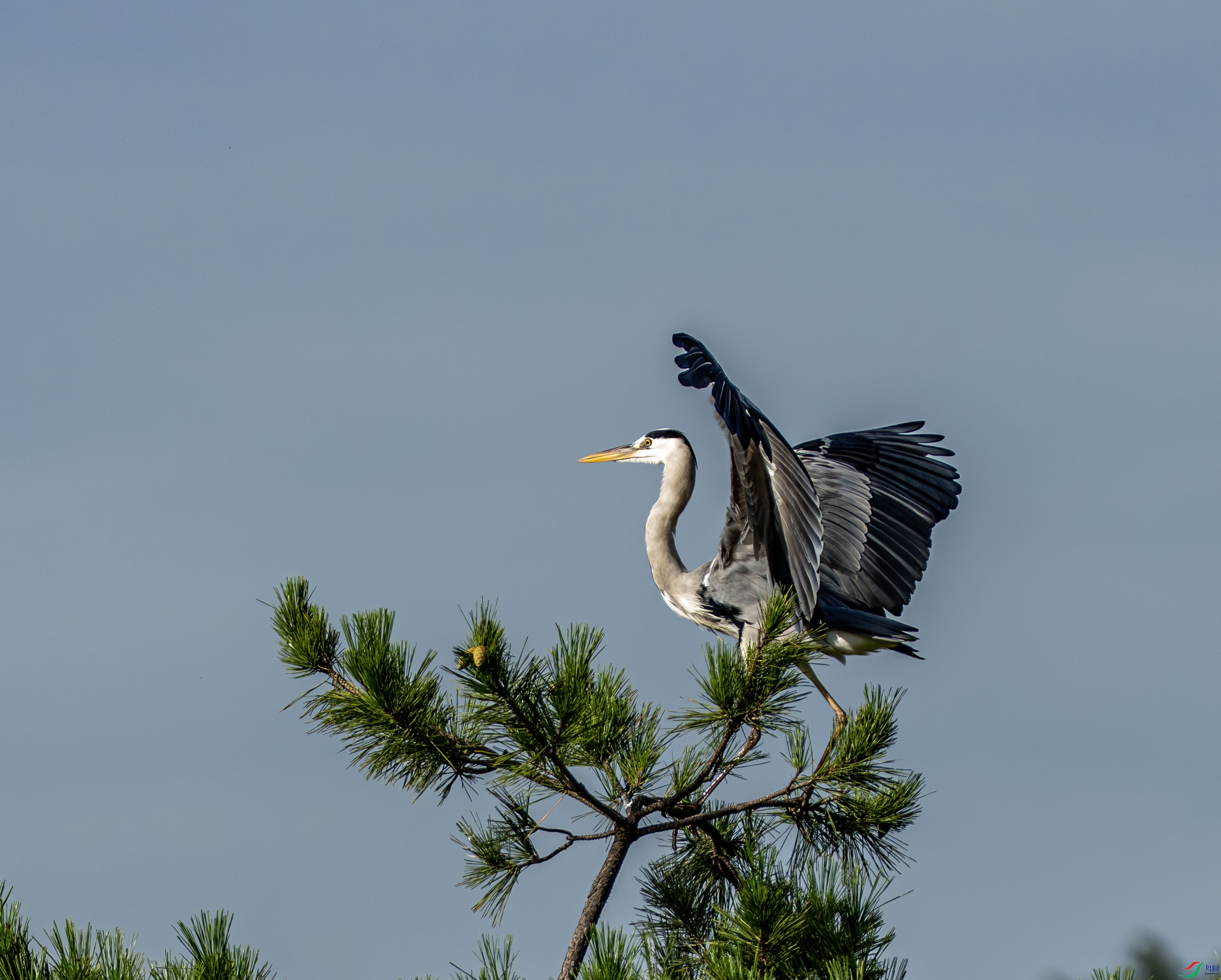 ���� 03-9.jpg