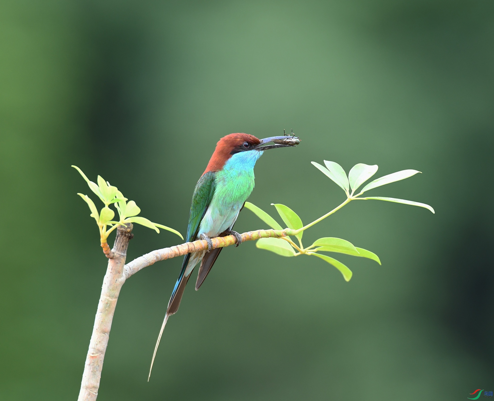 DSC_9624.jpg